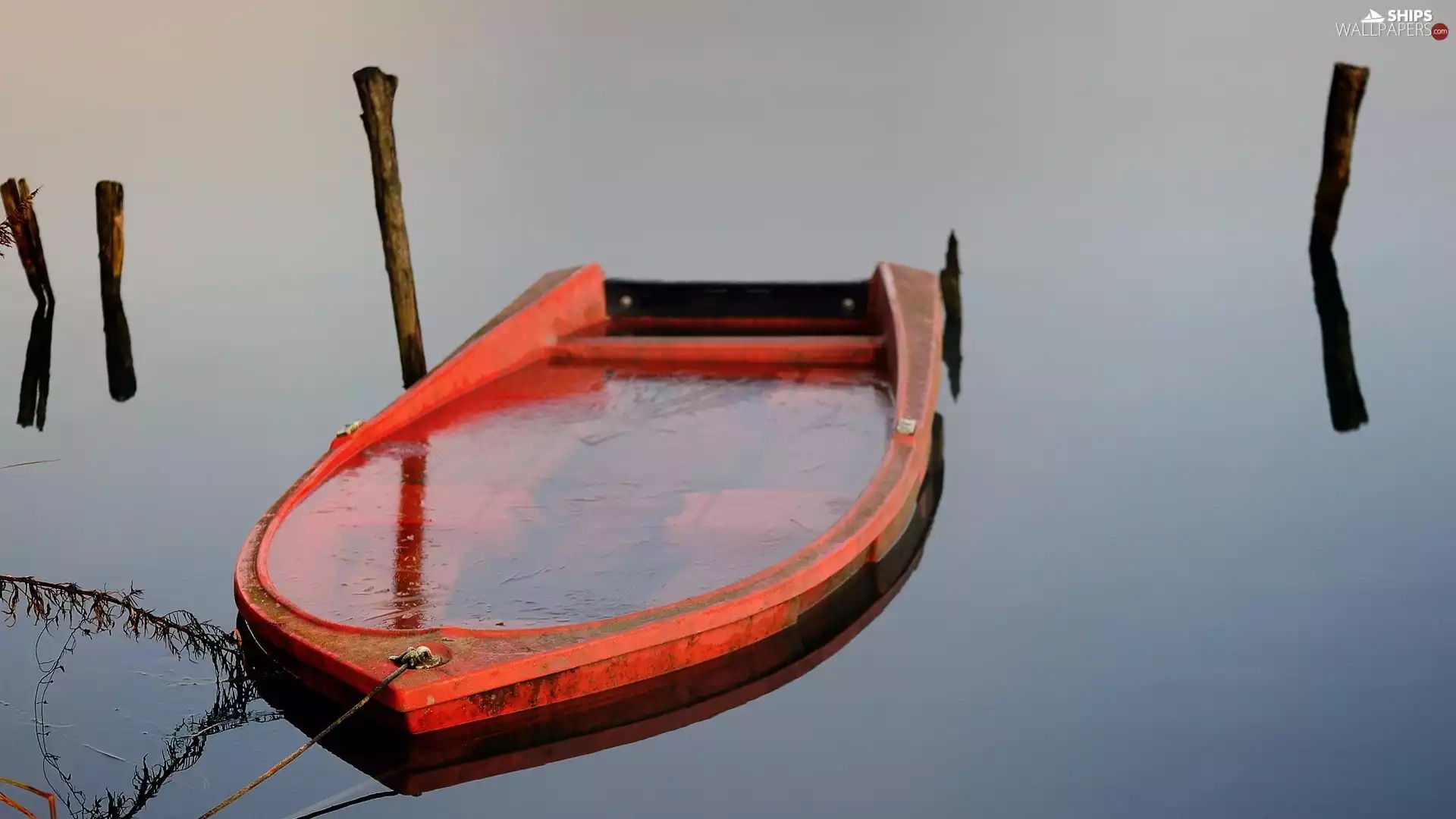 bath-tub, lake, Flooded