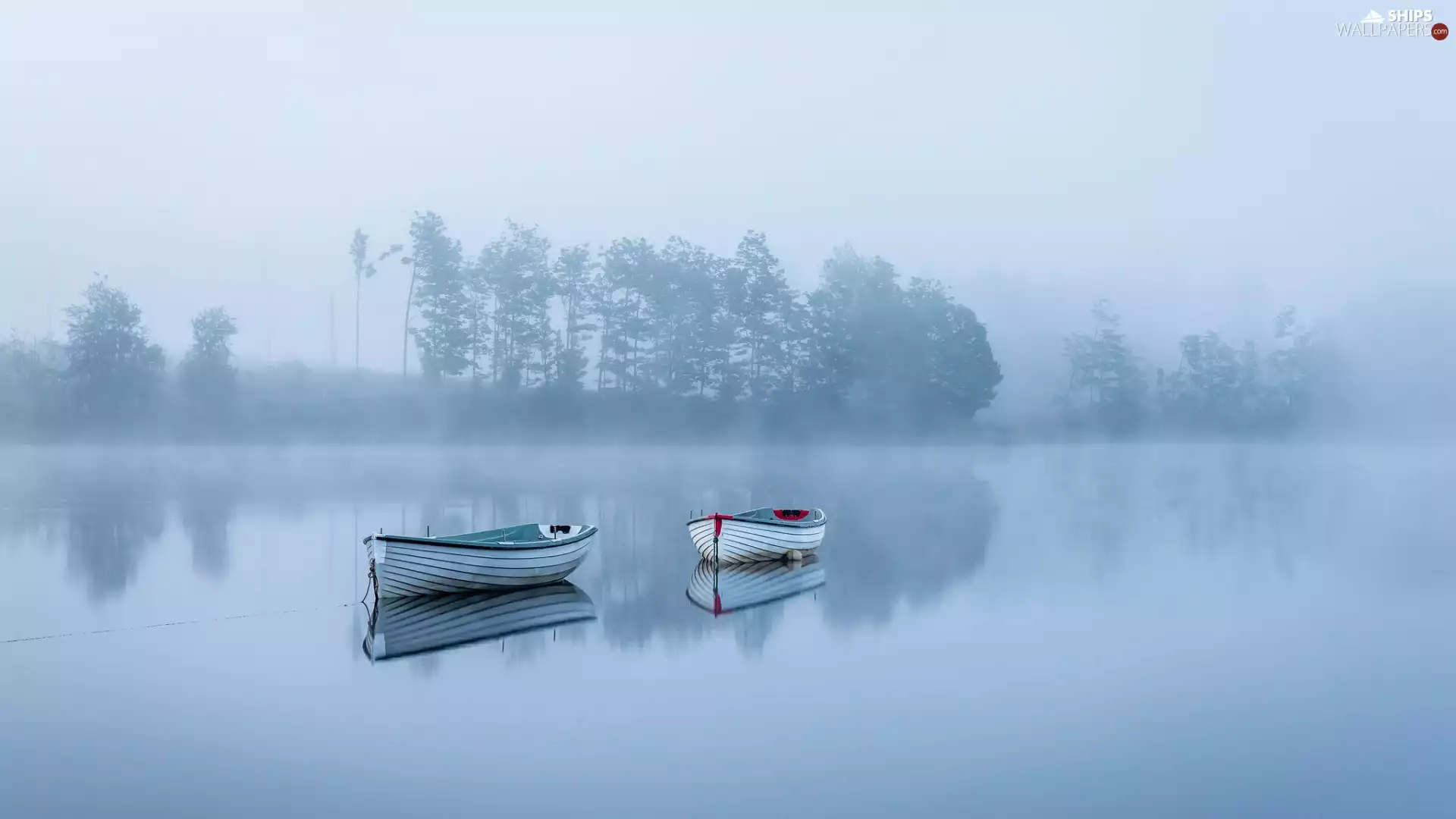 Fog, boats, lake