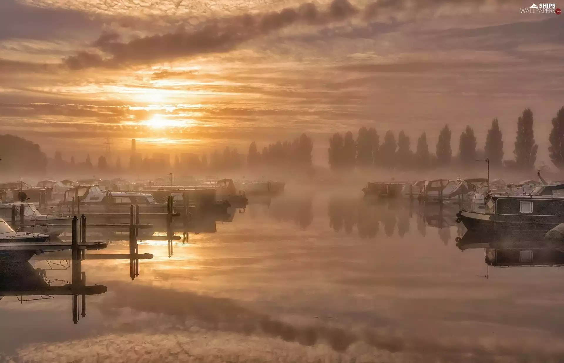 motorboat, Harbour, viewes, Fog, trees, Sunrise