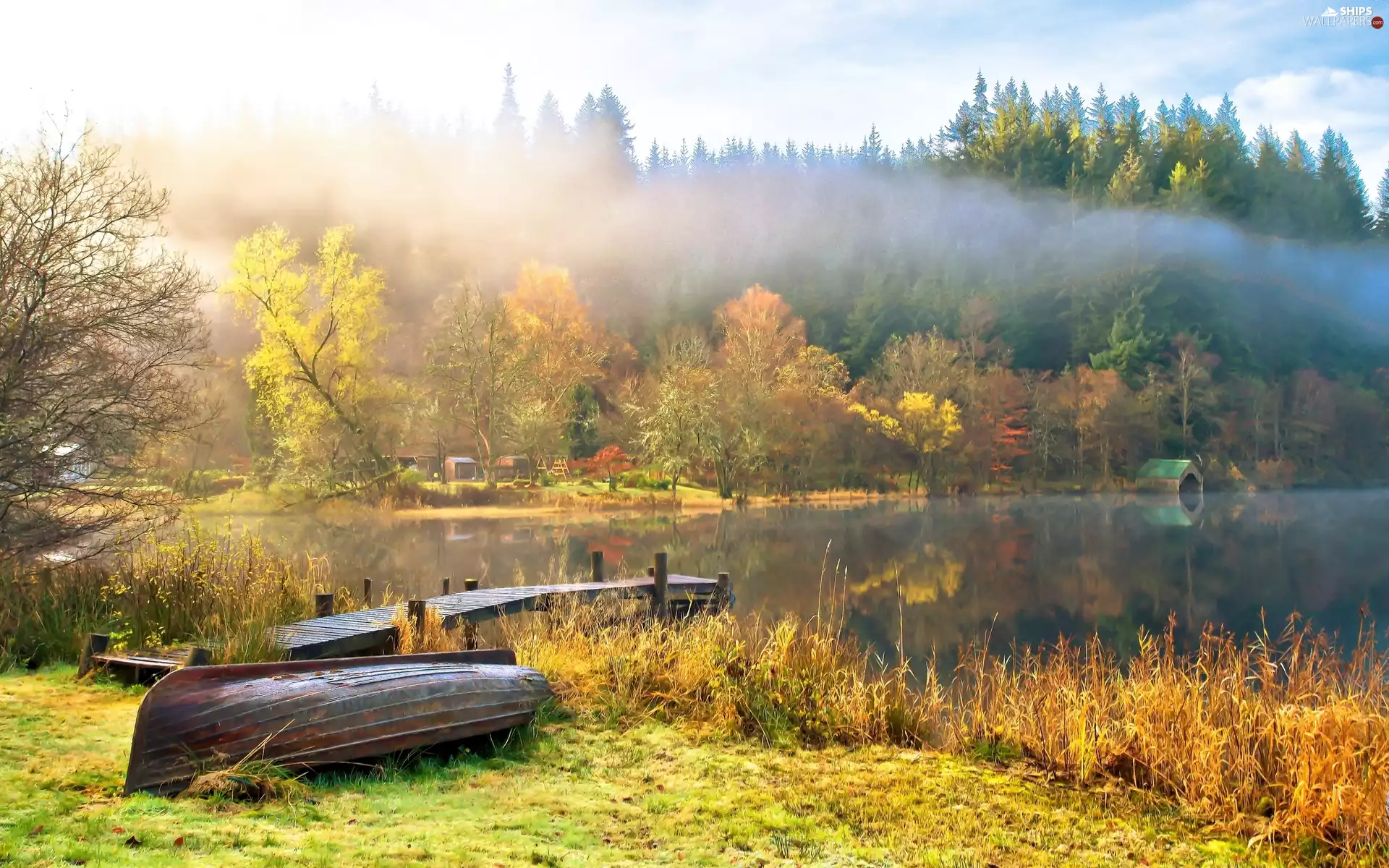 Boat, lake, Fog, forest