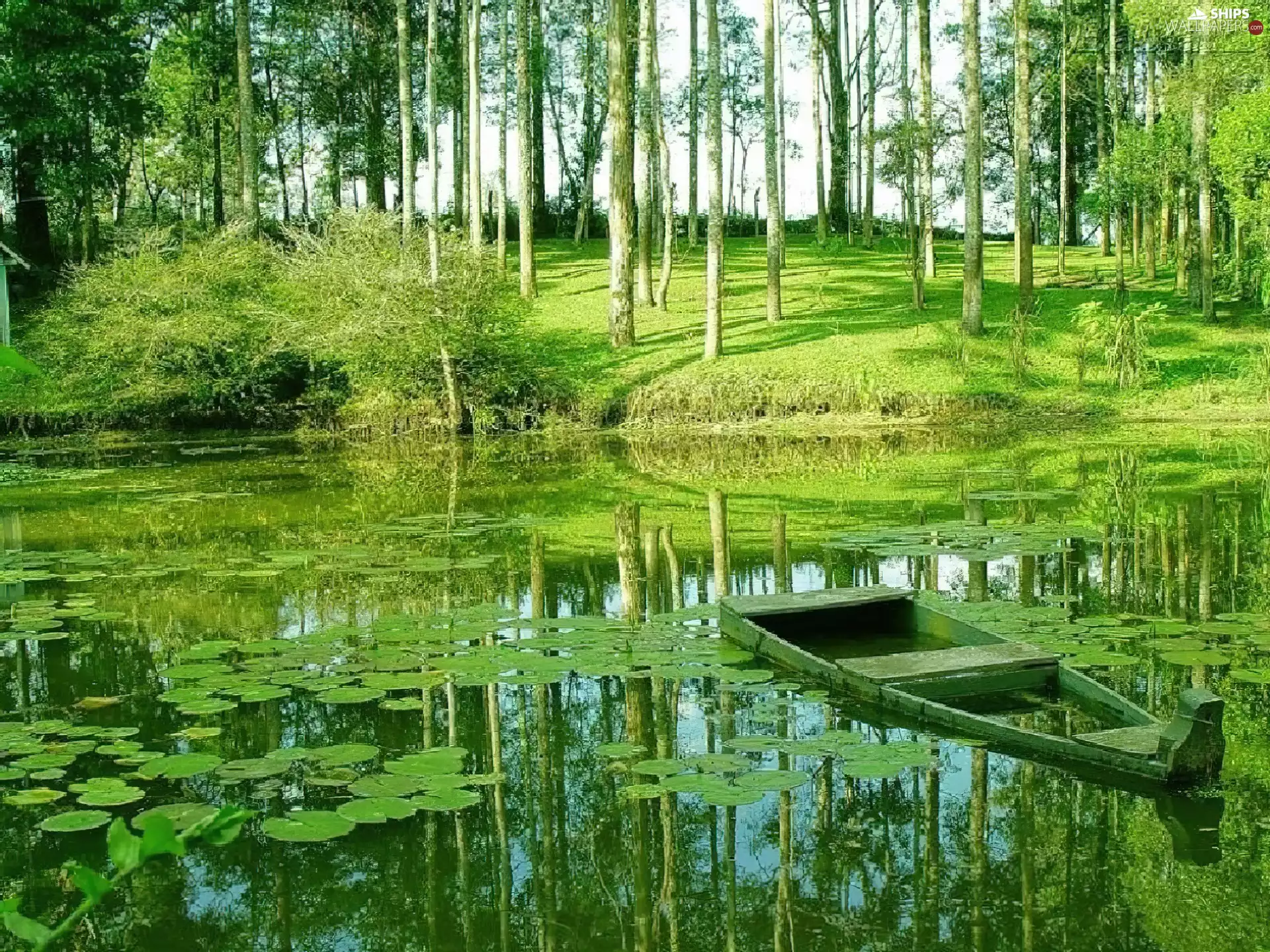 forest, lake, Boat