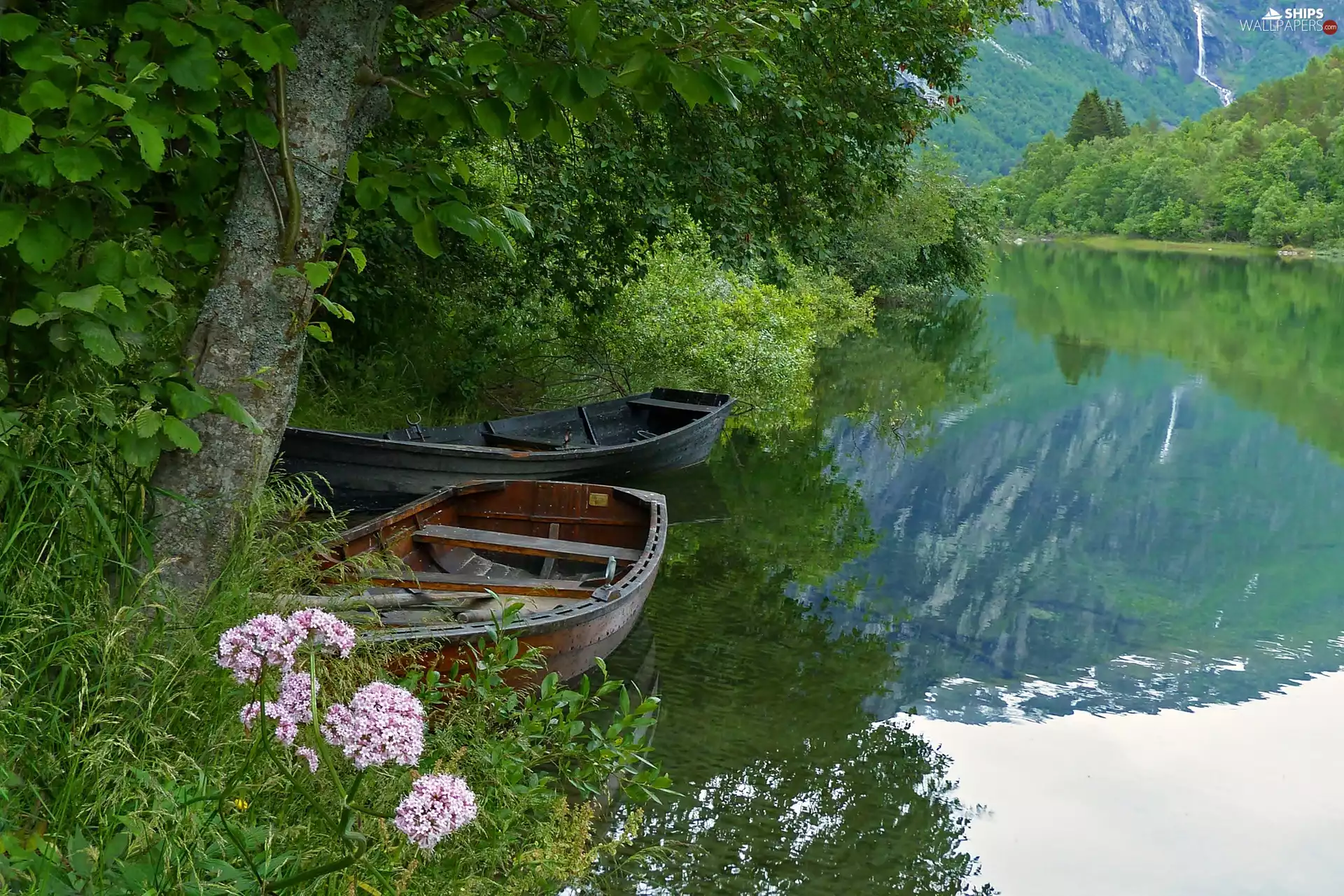 forest, boats, lake