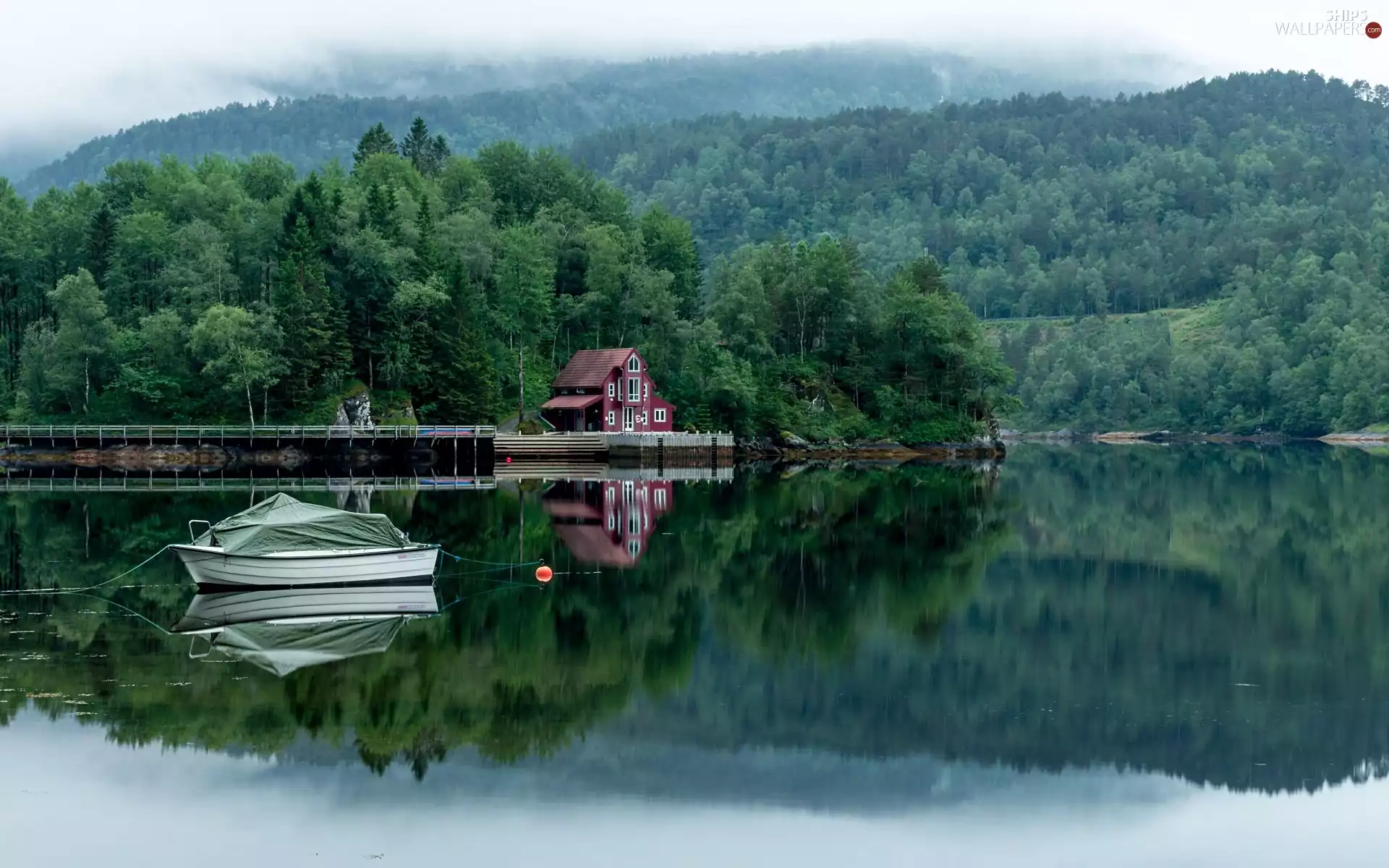 bath-tub, Fog, forest, house, lake