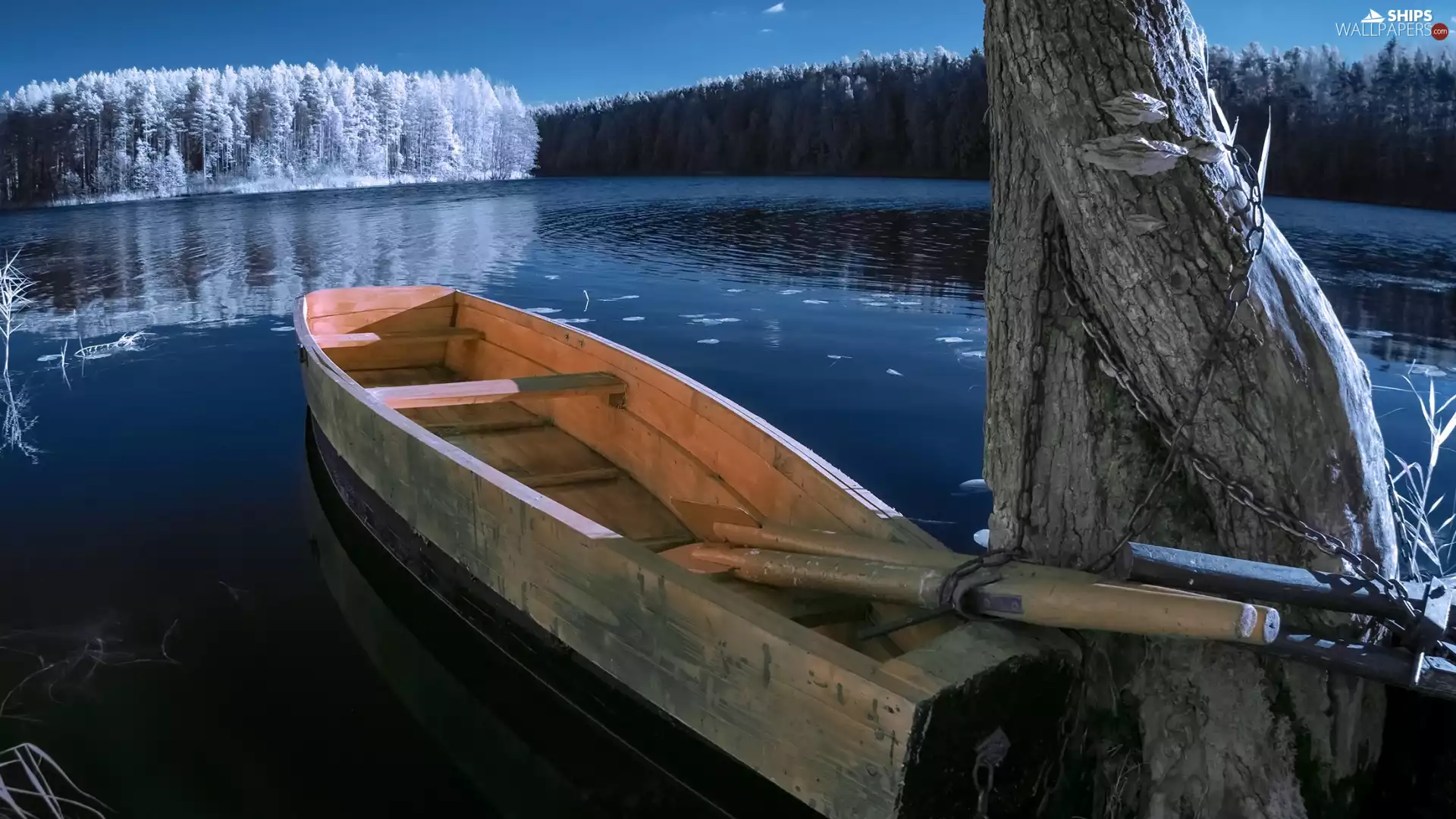 trees, forest, lake, Boat, winter