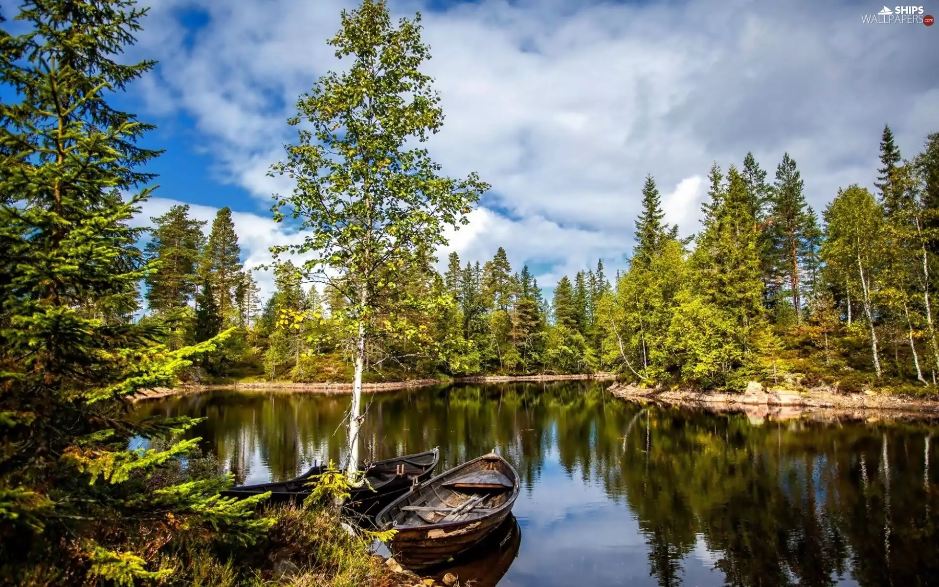 River, boats, autumn, forest