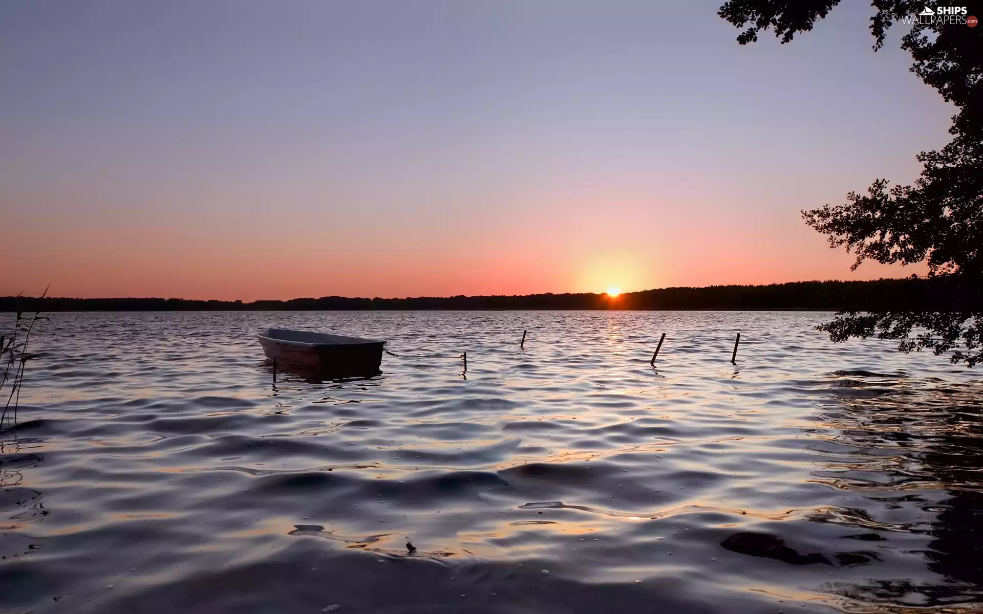 Boat, forest, sun, lake, east