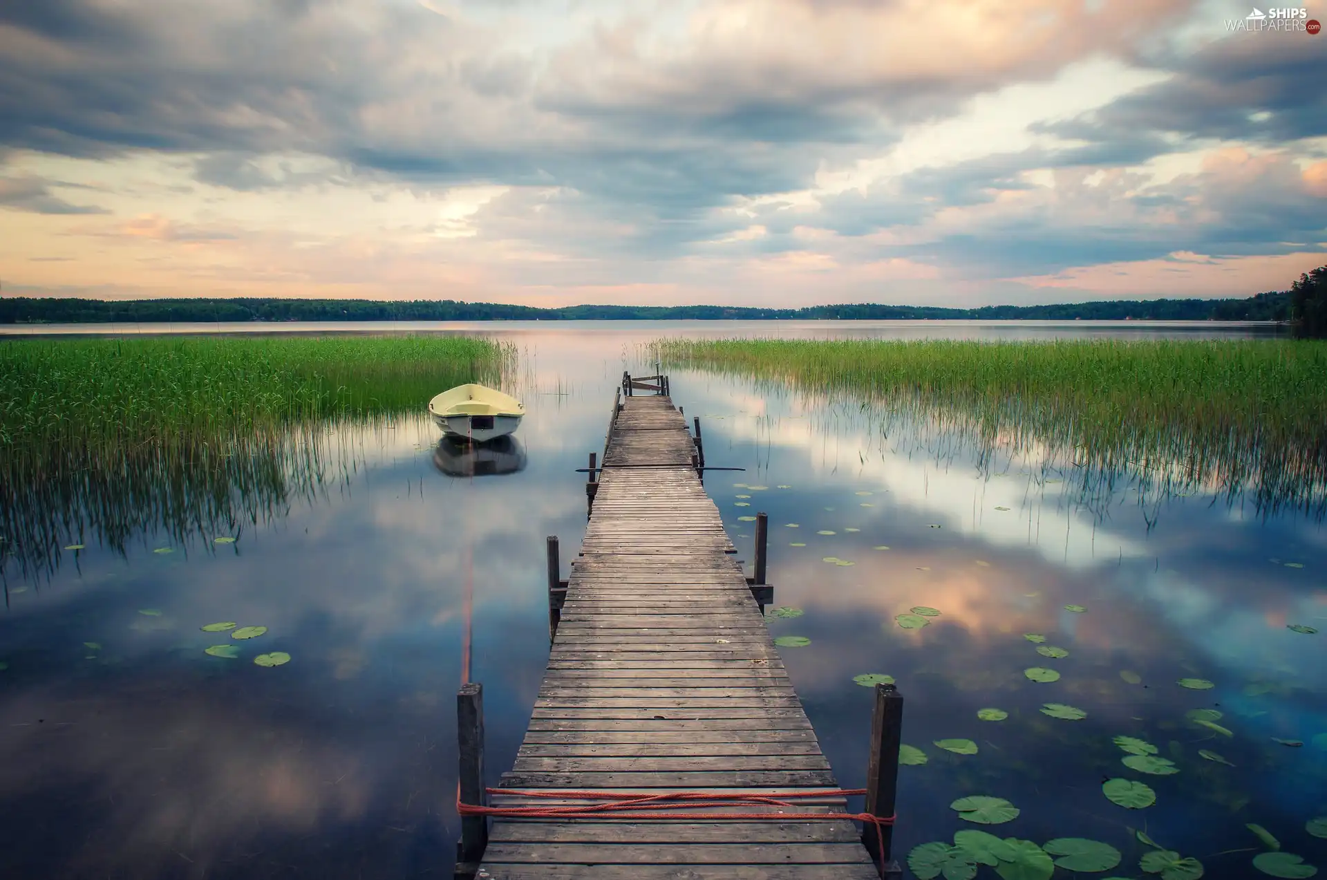 Platform, Boat, viewes, rushes, trees, wooden, lake, forest
