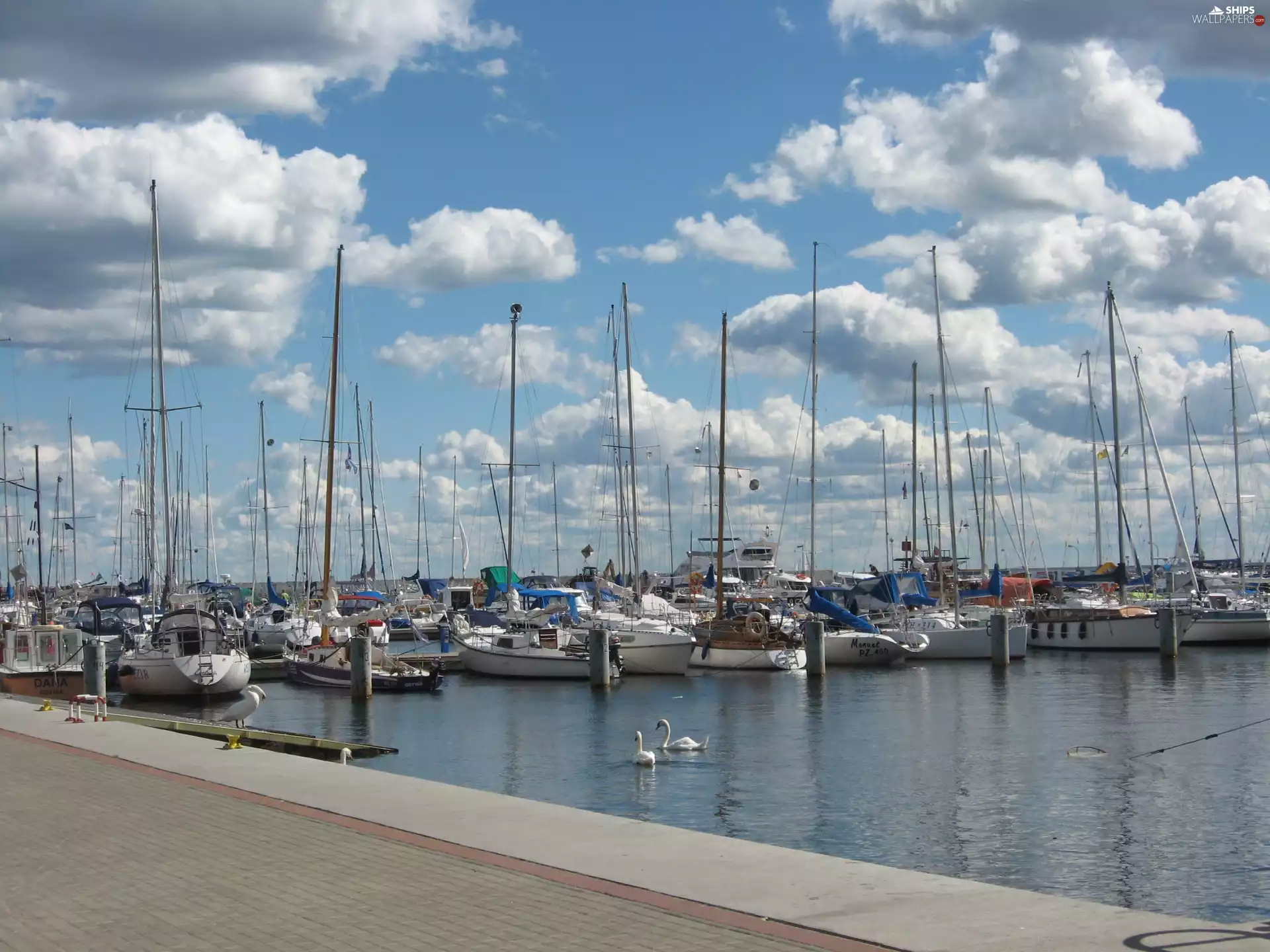 Gdynia, Yachts