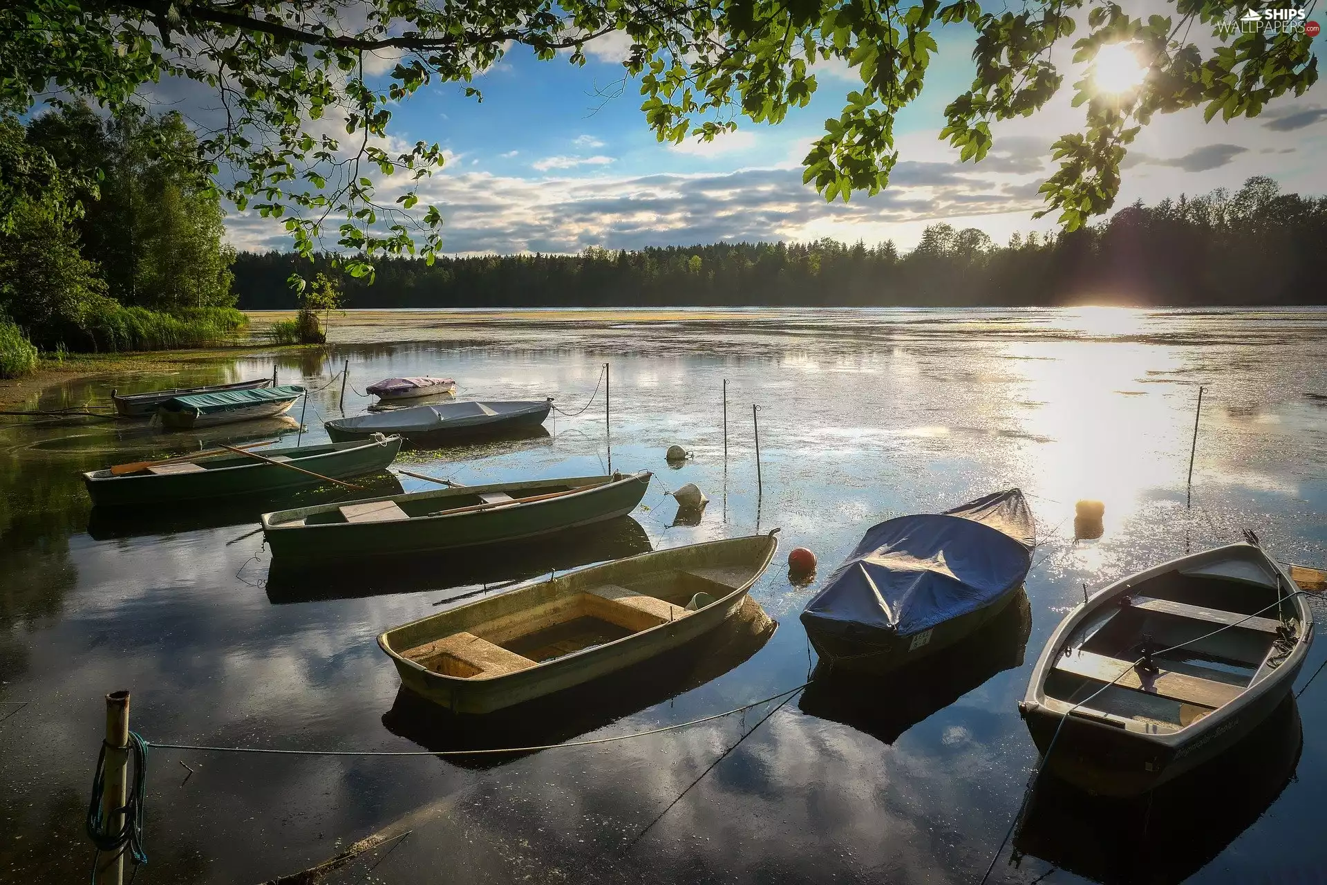 trees, lake, sunny, glamour, viewes, boats