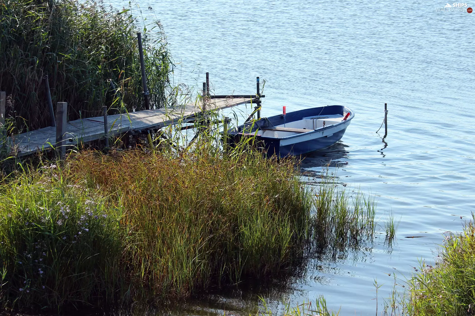 rushes, grass, Boat, Platform, lake