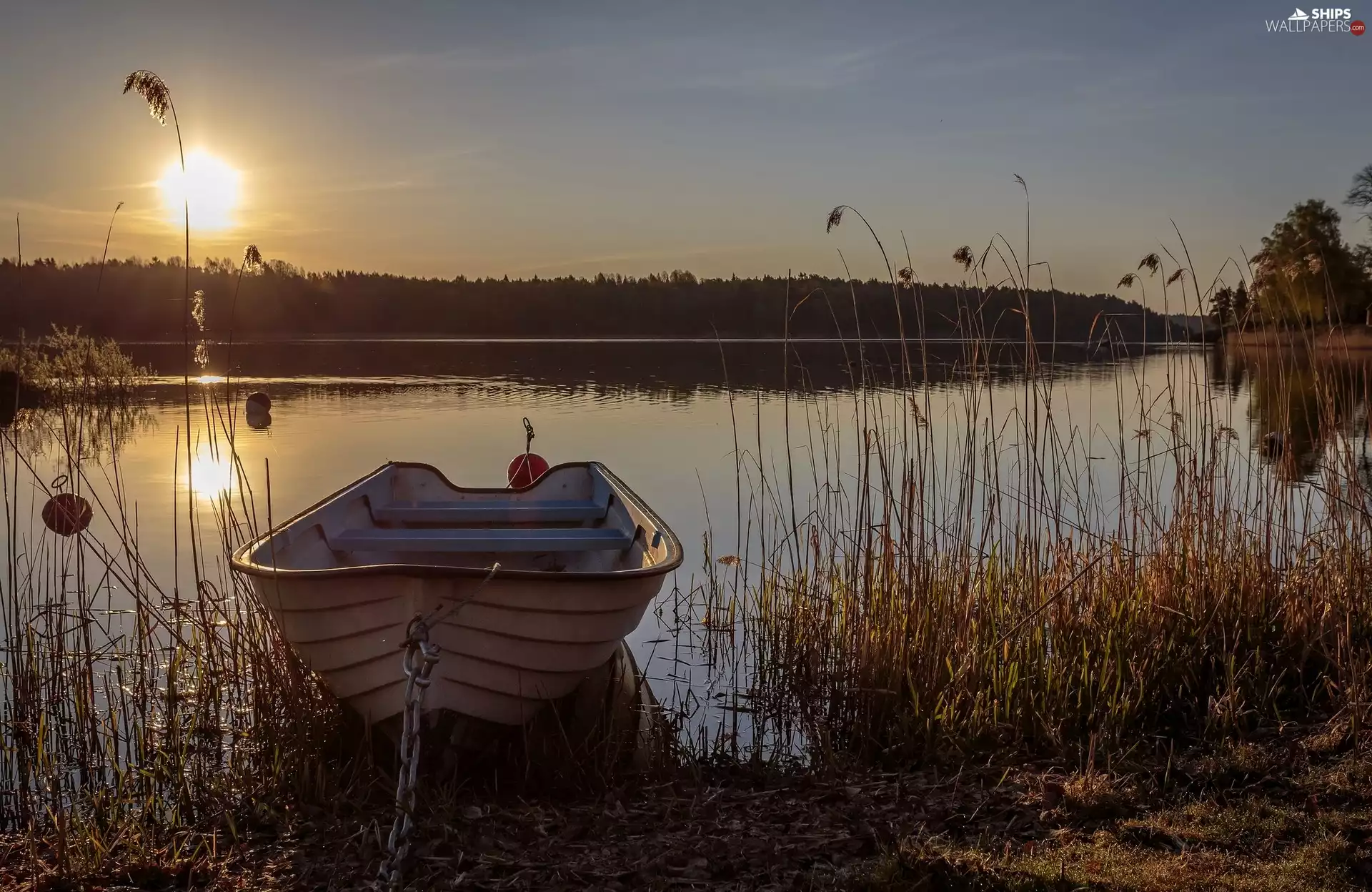 sun, grass, Boat, west, lake