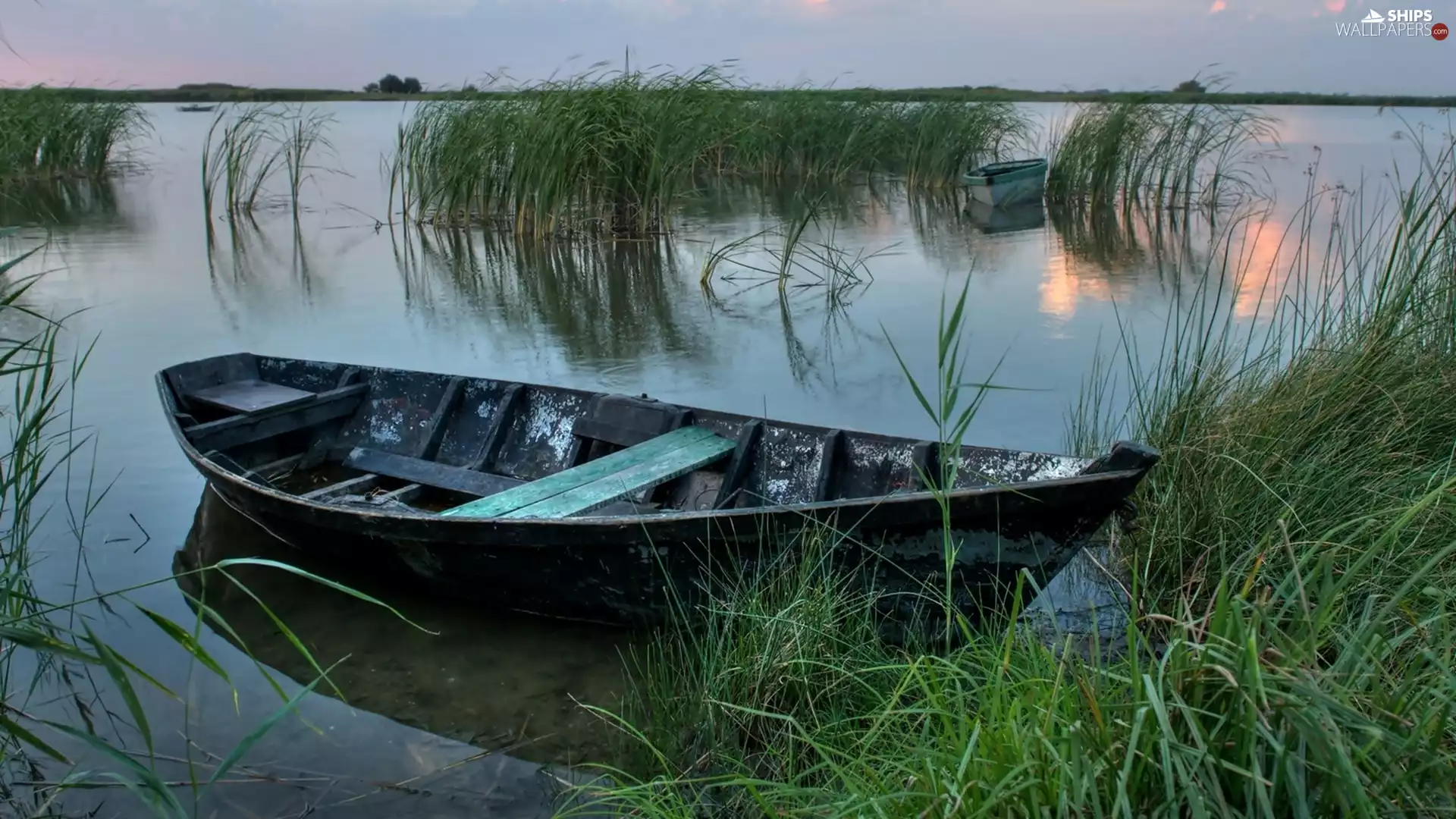 grass, lake, Boat