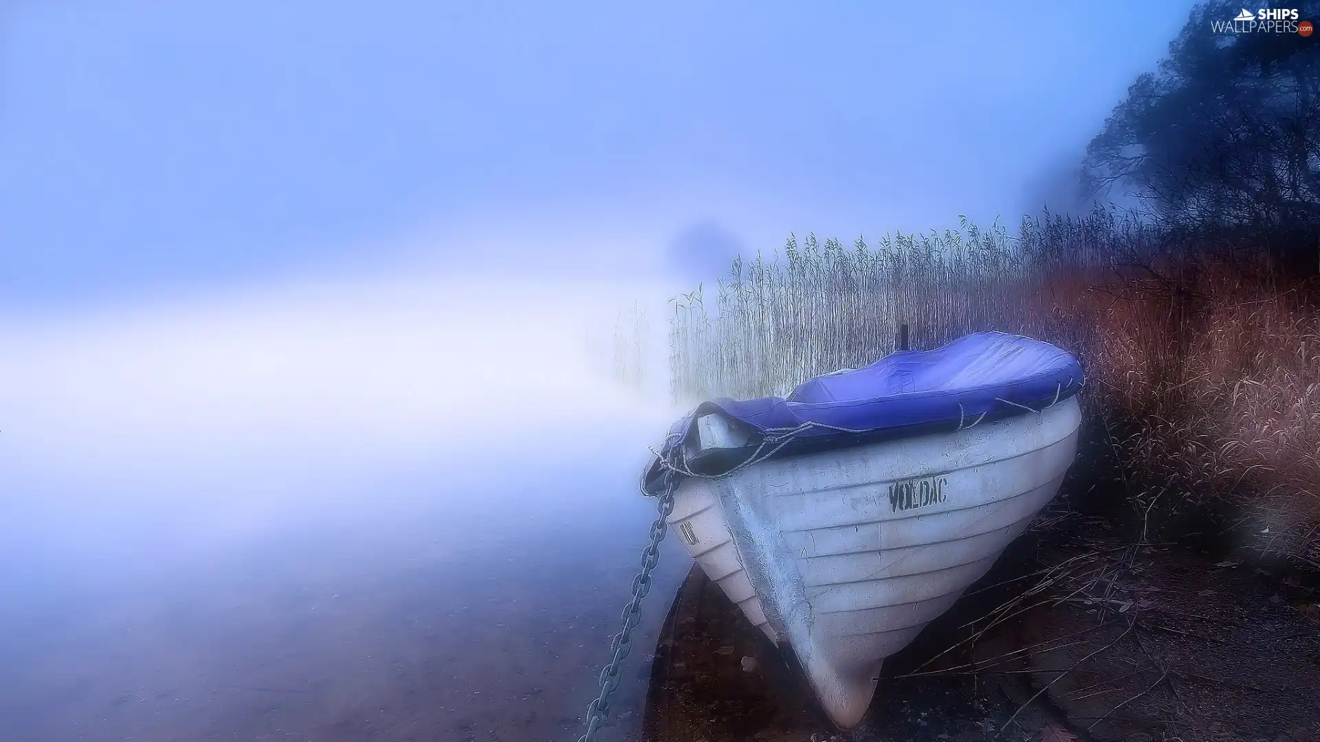 lake, Boat, grass, Fog