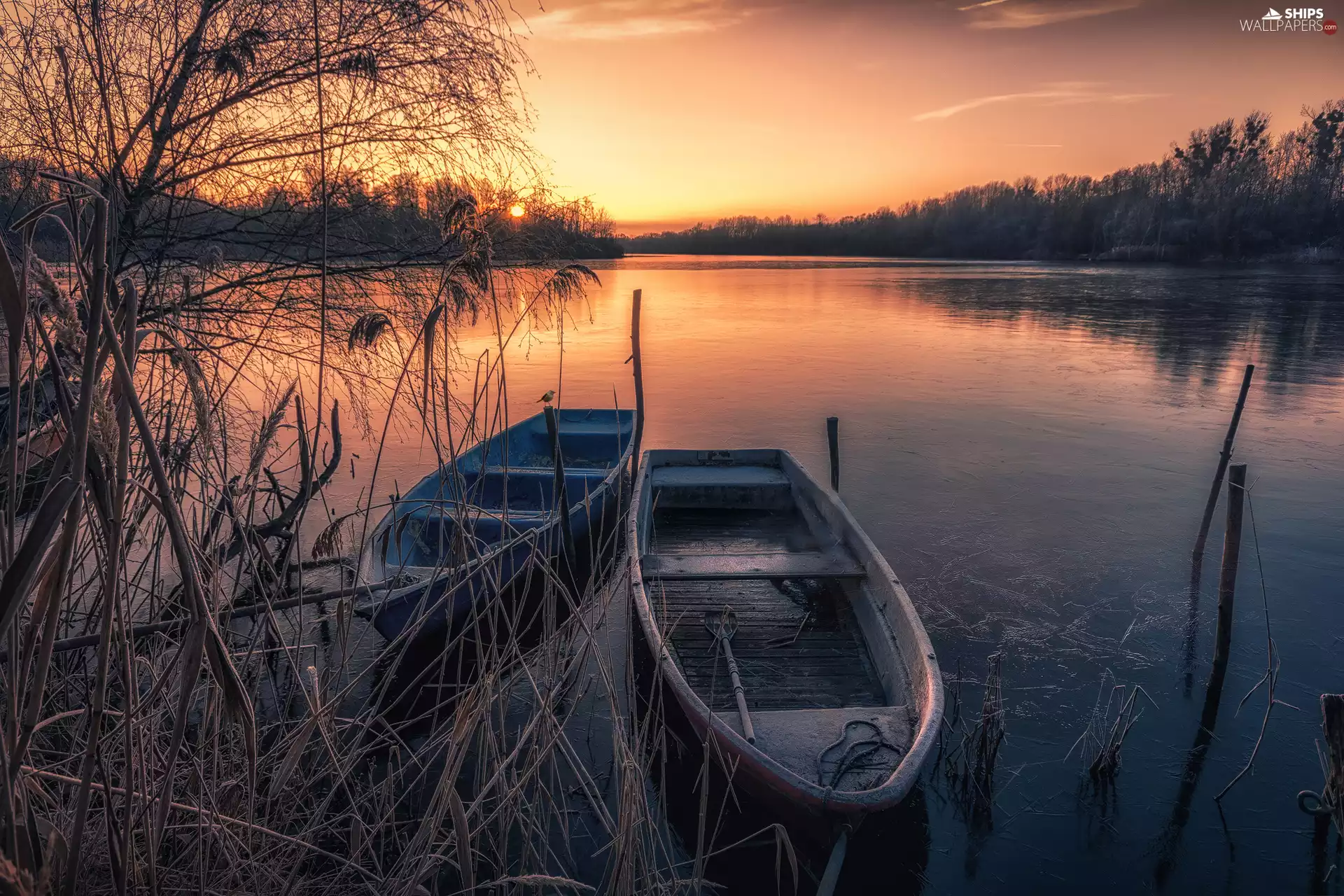 grass, boats, Great Sunsets, trees, White frost, dry, lake, viewes