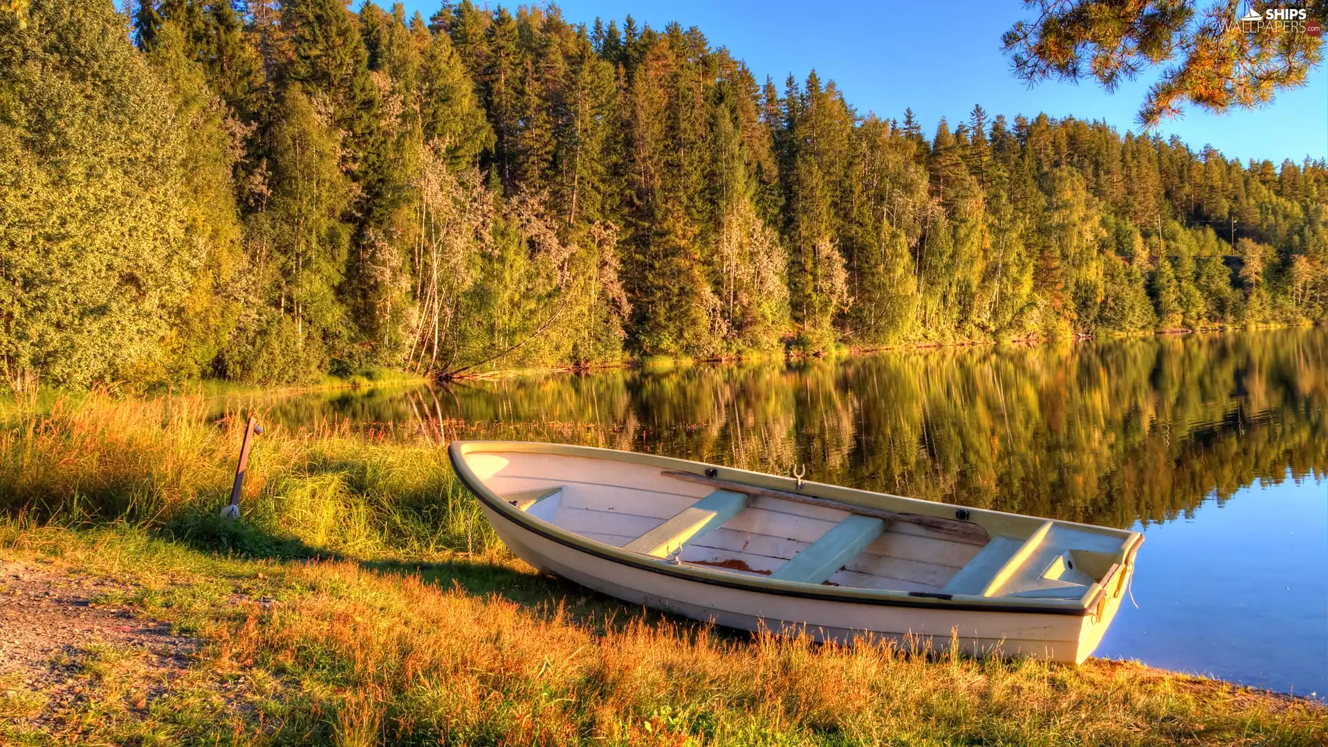 coast, Boat, viewes, dry, trees, lake, autumn, grass