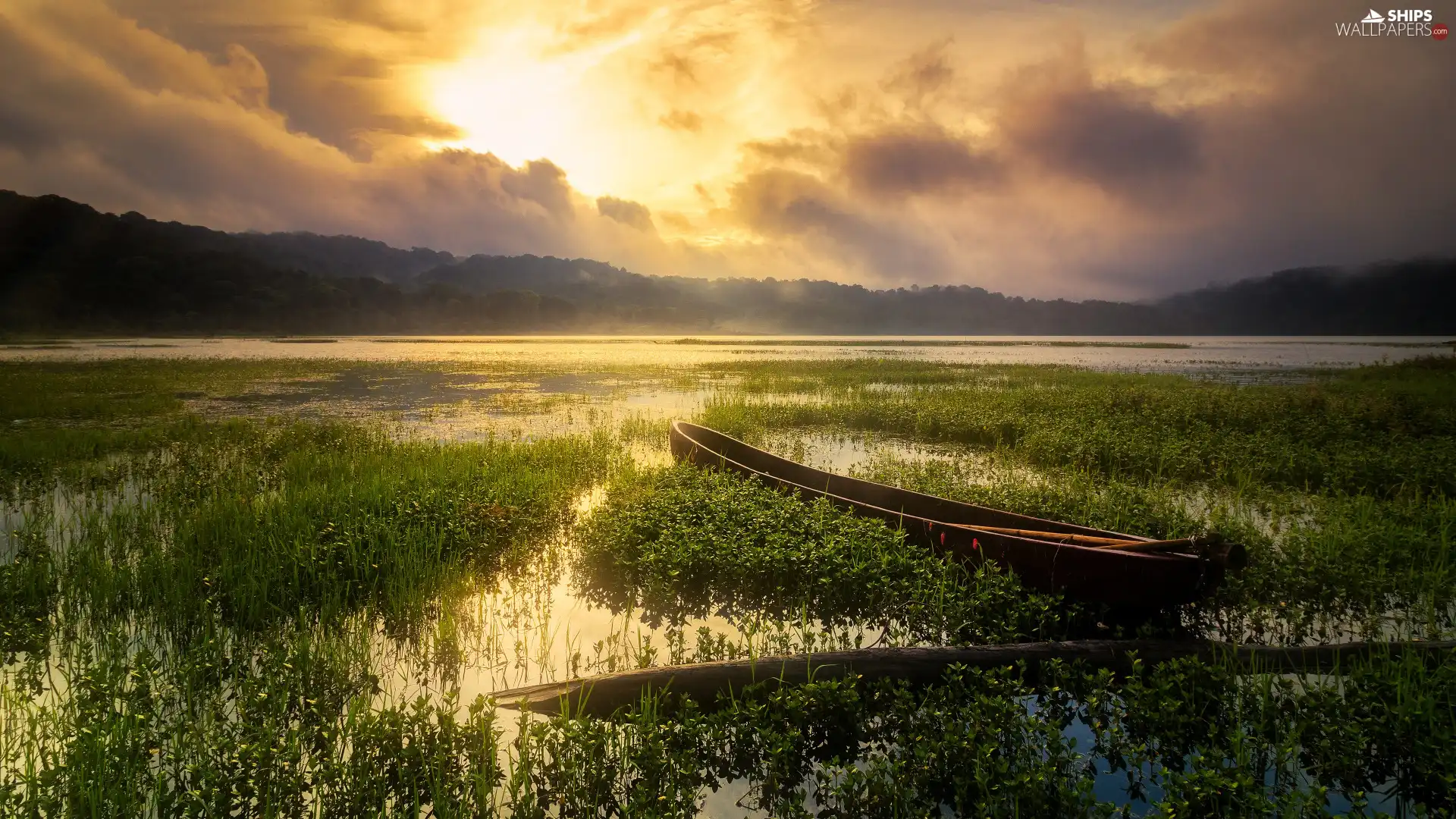 Plants, Boat, clouds, Great Sunsets, Fog, lake