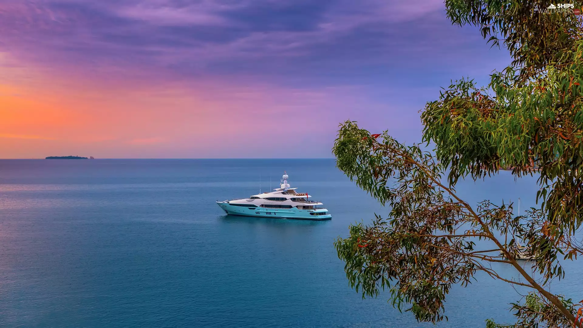 sea, Great Sunsets, trees, Yacht