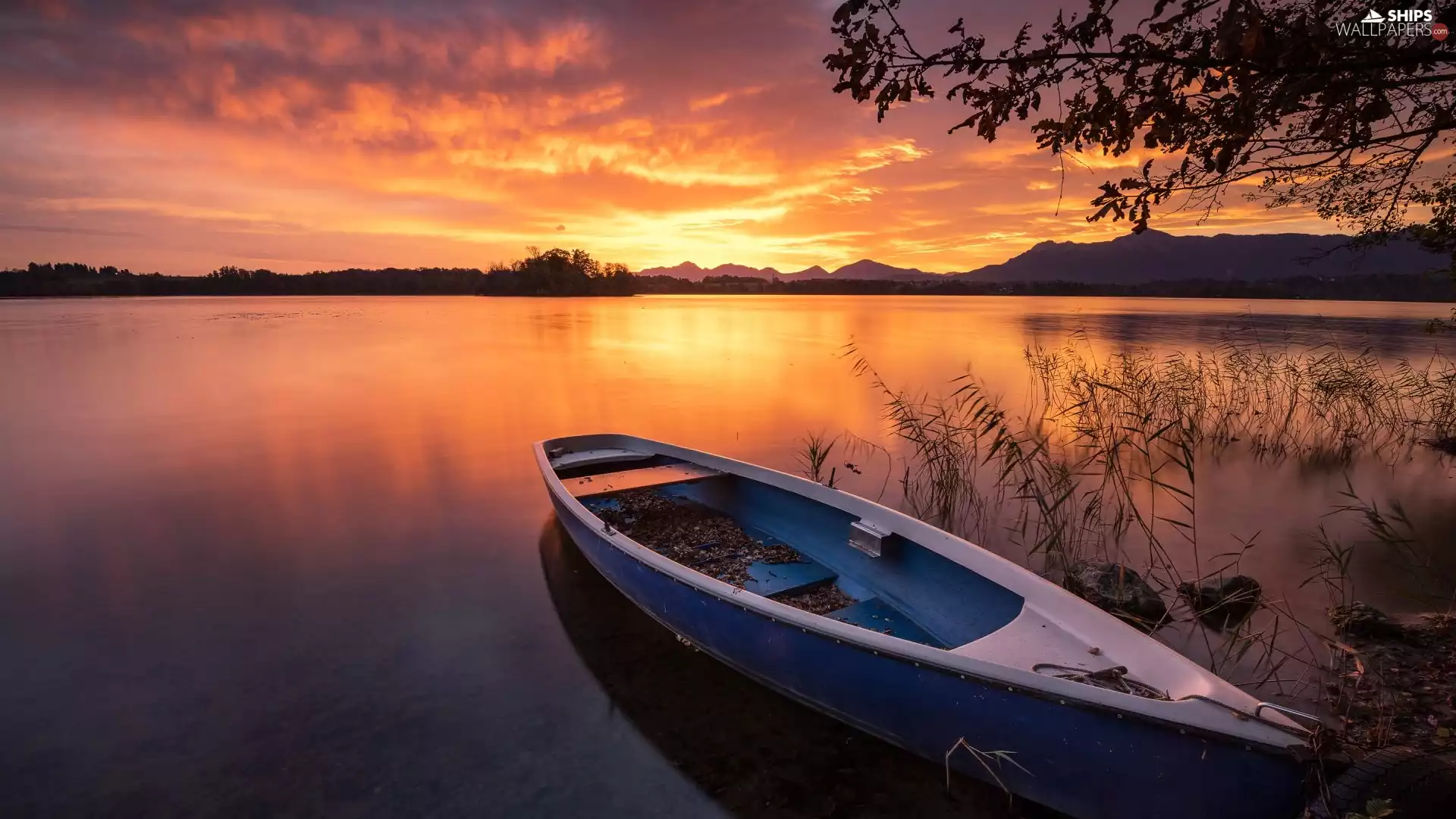Boat, Mountains, viewes, Great Sunsets, trees, lake