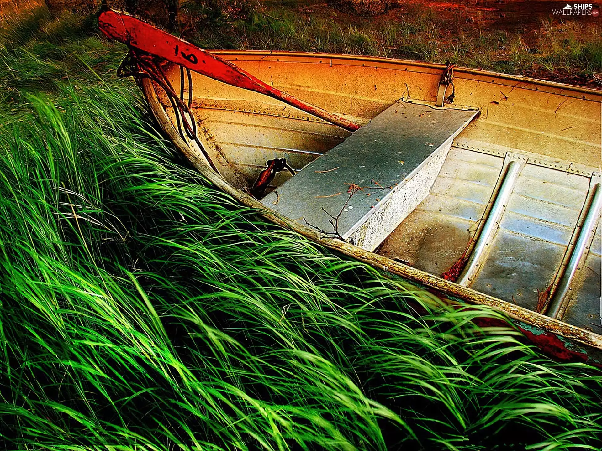 Boat, green ones, rushes, paddle