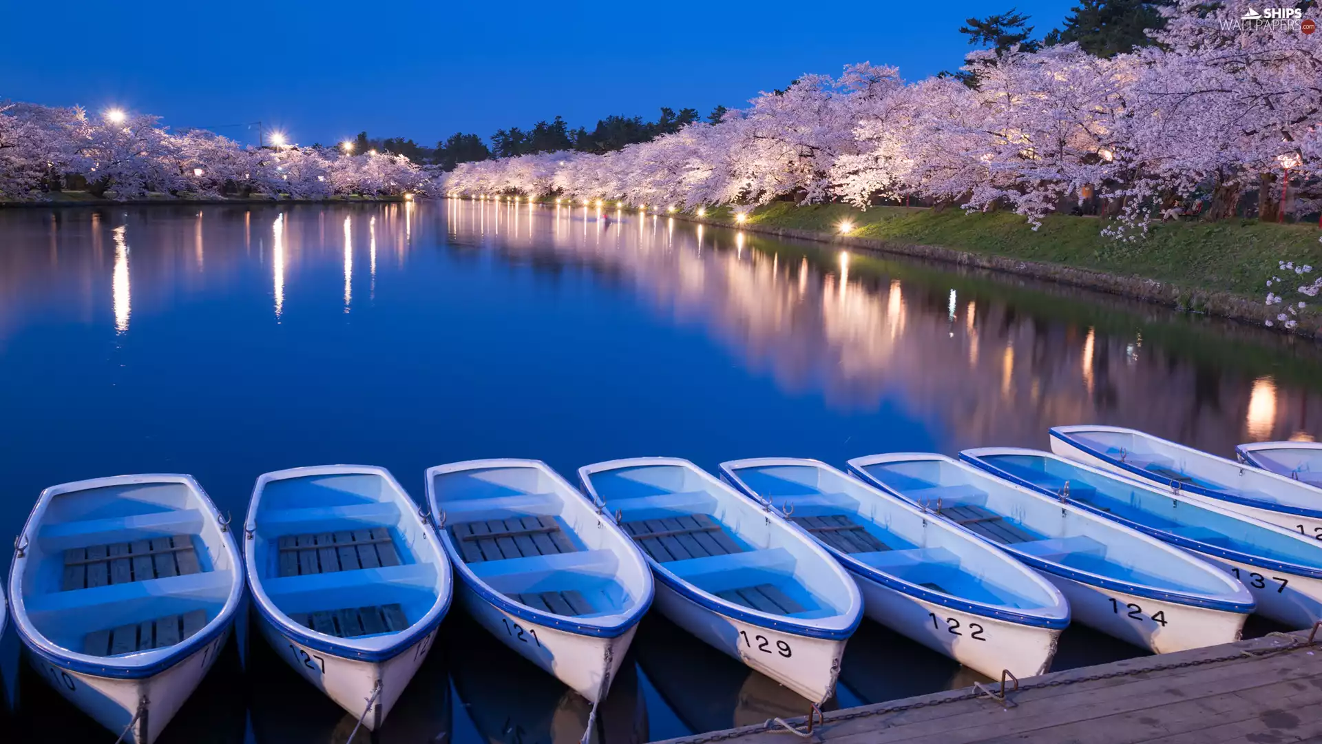 Harbour, Park, Boats, lake, trees, viewes, light, Flourished, Night