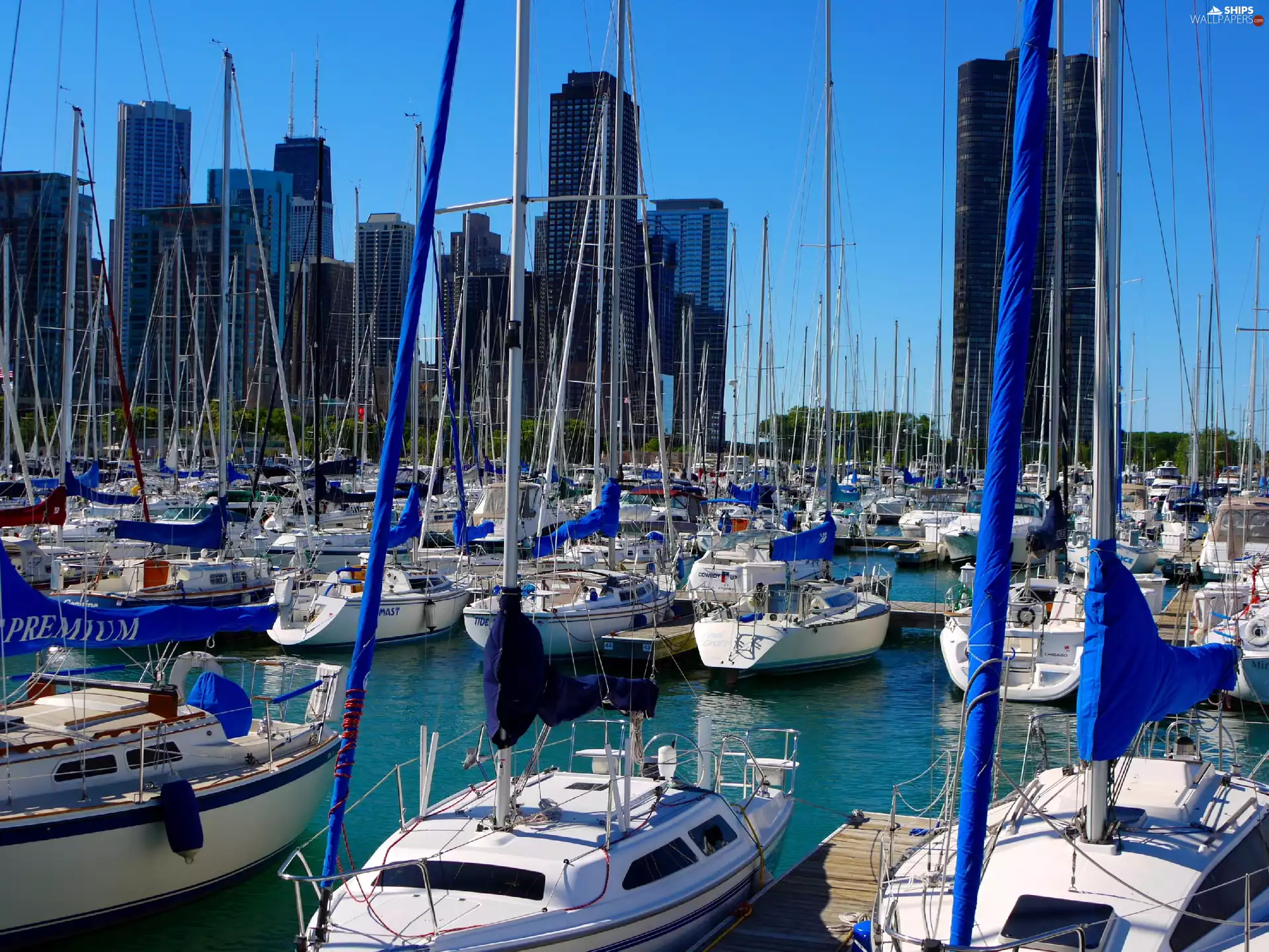 Harbour, motorboat, Sailboats