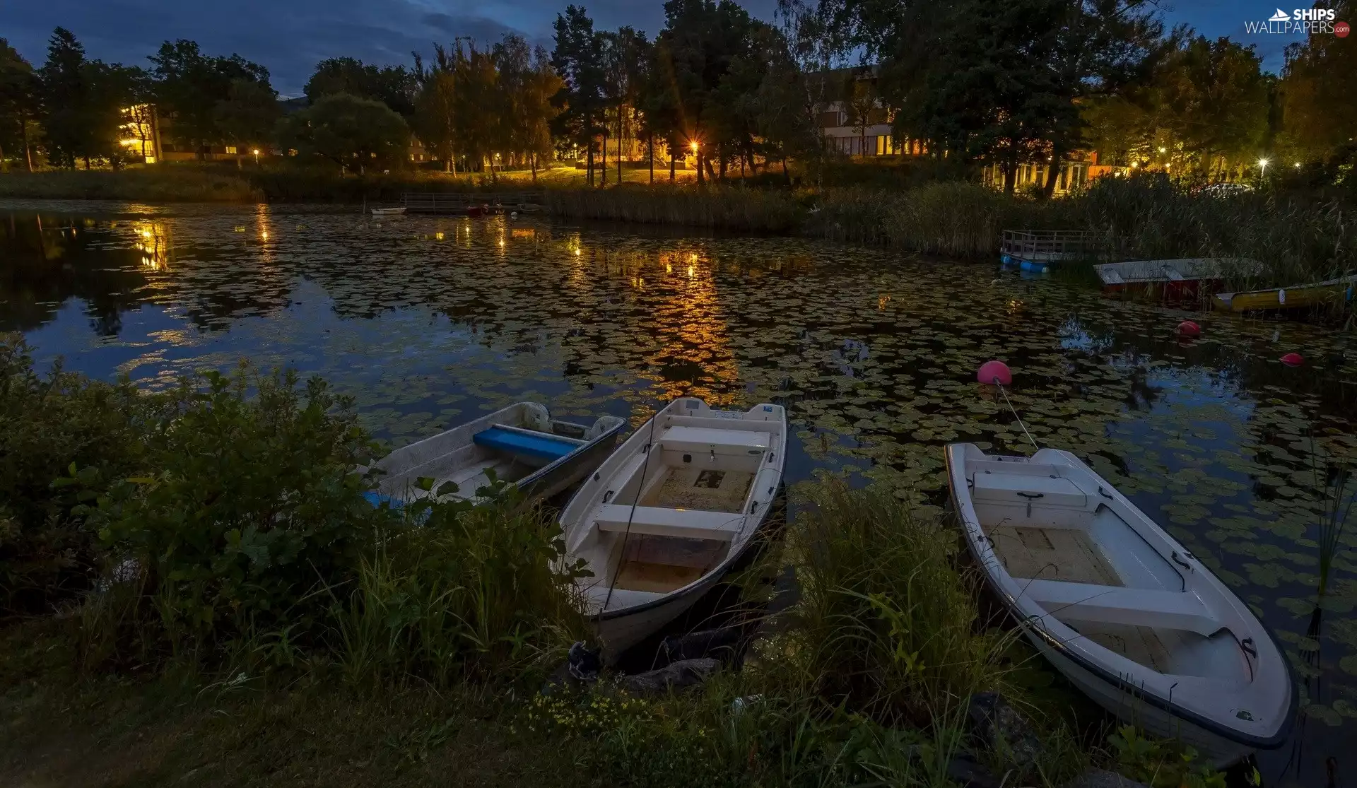 trees, River, illuminated, Houses, viewes, boats