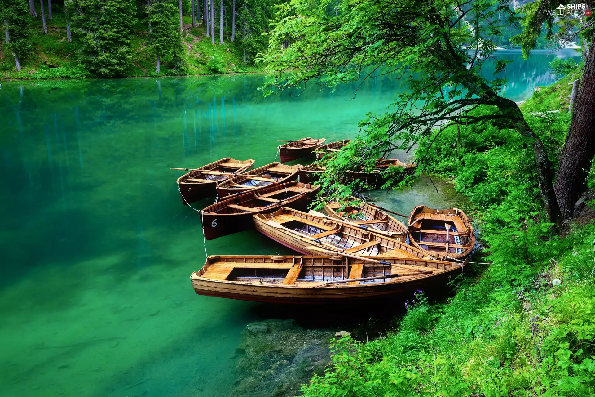 boats, forest, South Tyrol, Pragser Wildsee Lake, Italy