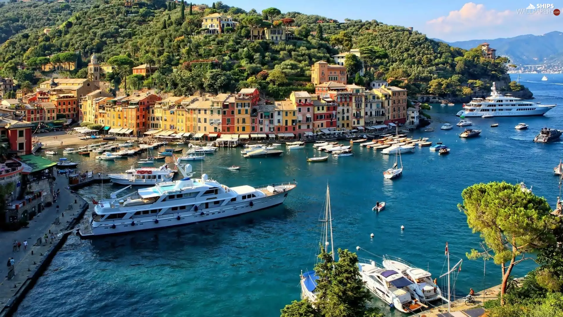 Yachts, Portofino, The Hills, sea, Town, Boats, Italy