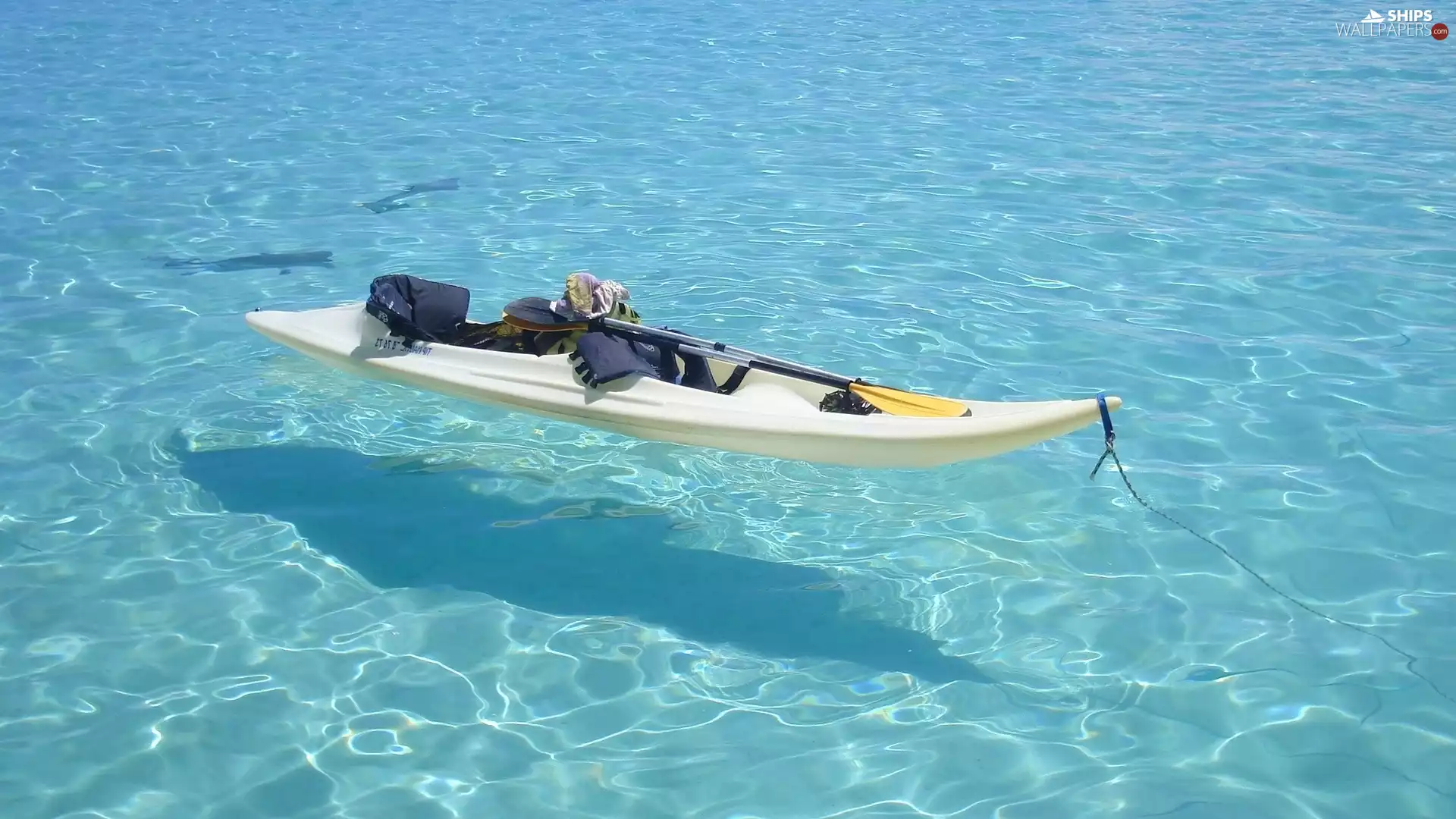 Kayak, summer, sea