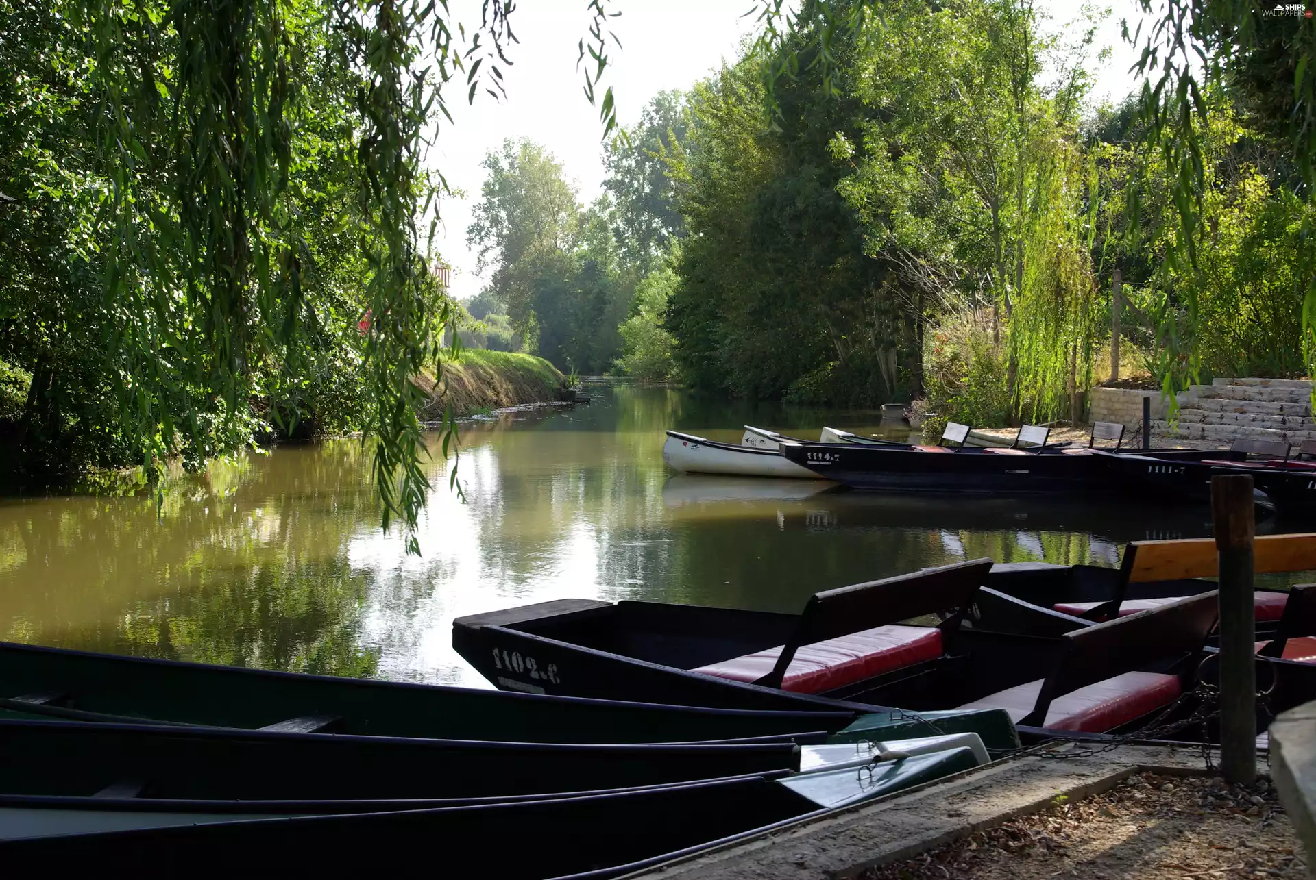 River, trees, viewes, Kayaks