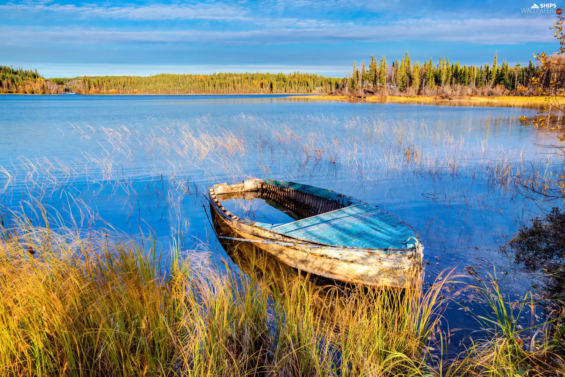 autumn, Flooded, Boat, lake