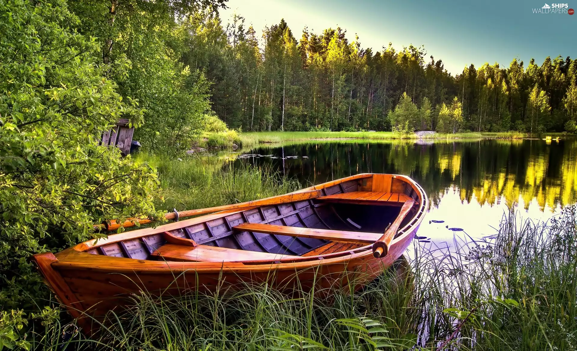 Boat, woods, reflection, lake