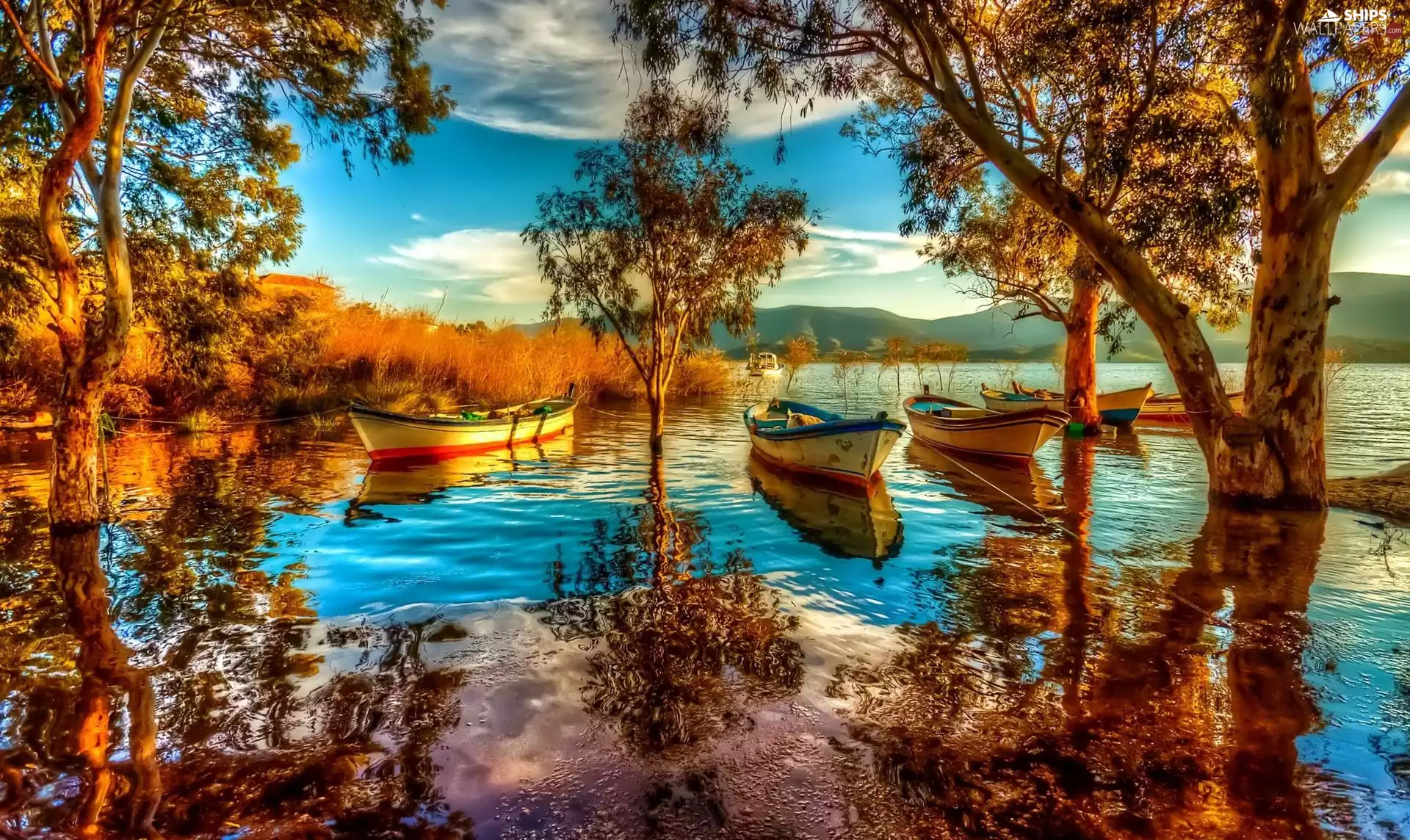 boats, forest, autumn, lake