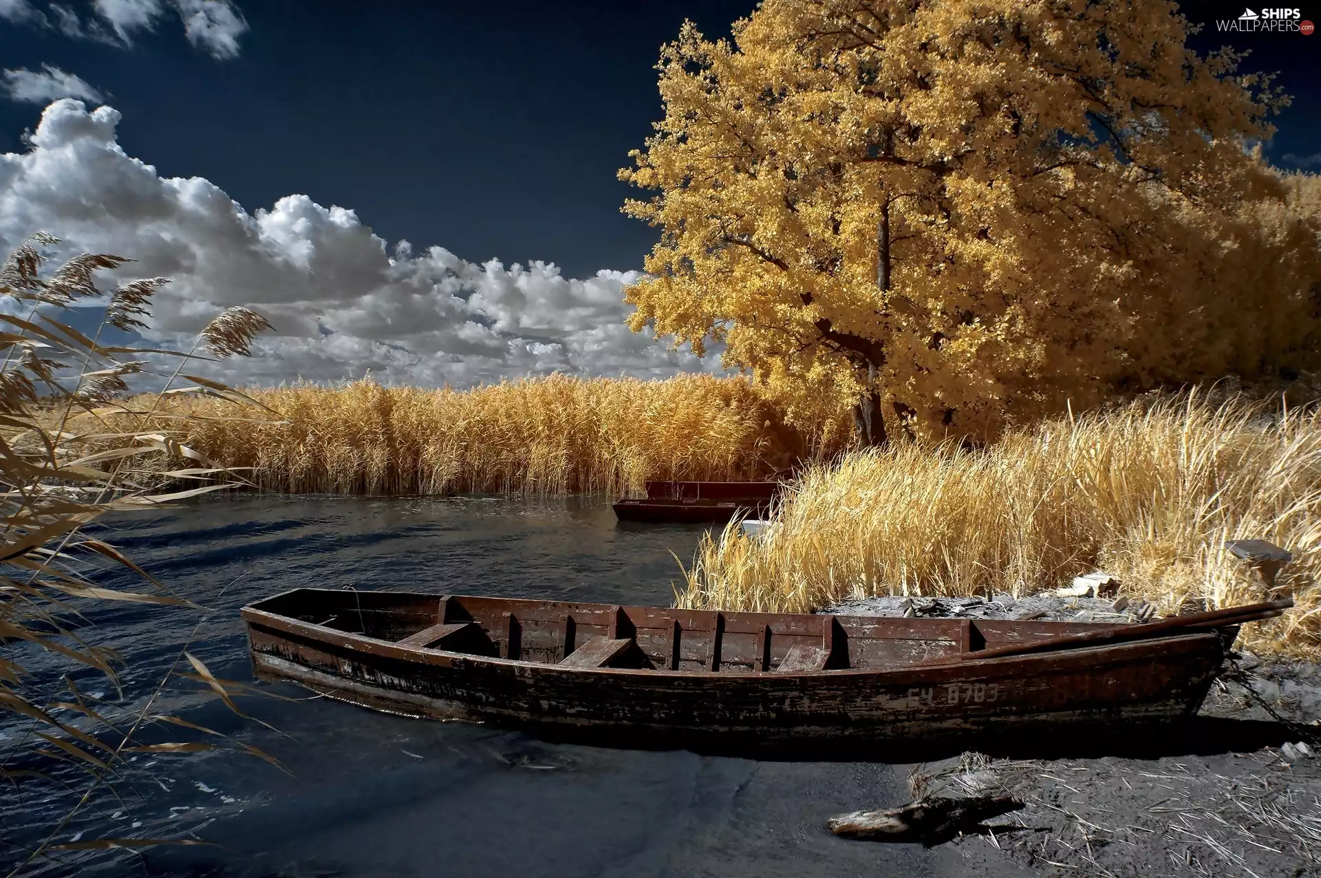 viewes, dry, clouds, grass, Boat, trees, autumn, lake