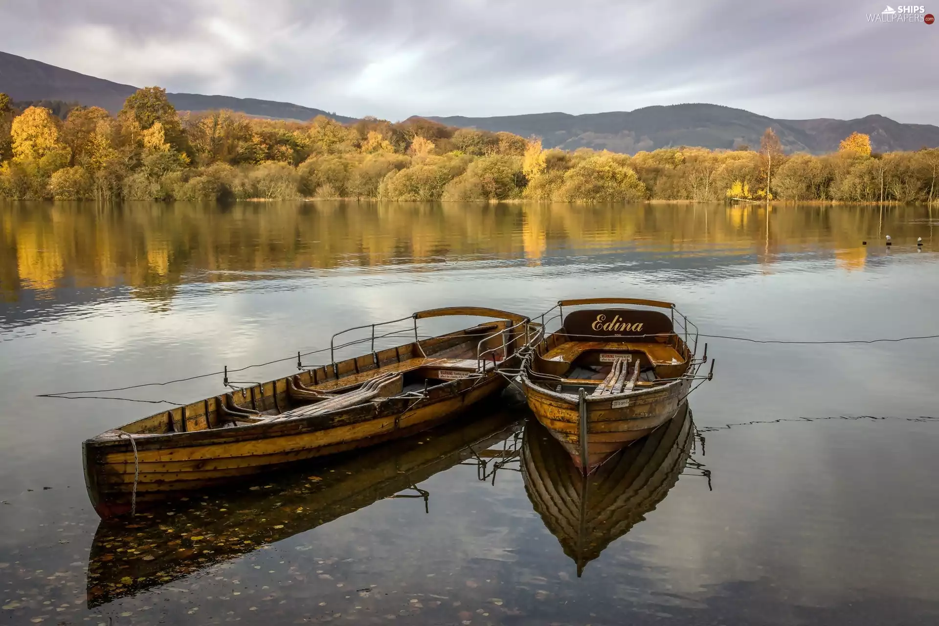 lake, boats, forest
