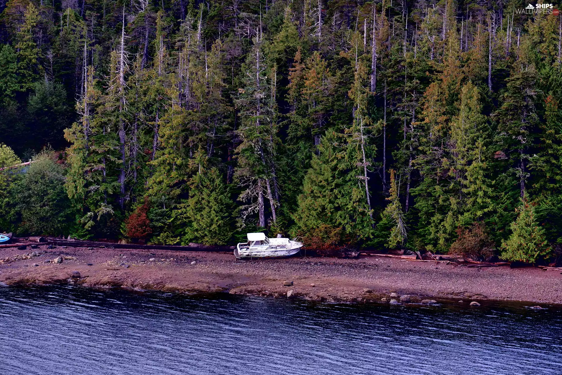 forest, lake, Motor boat, coast