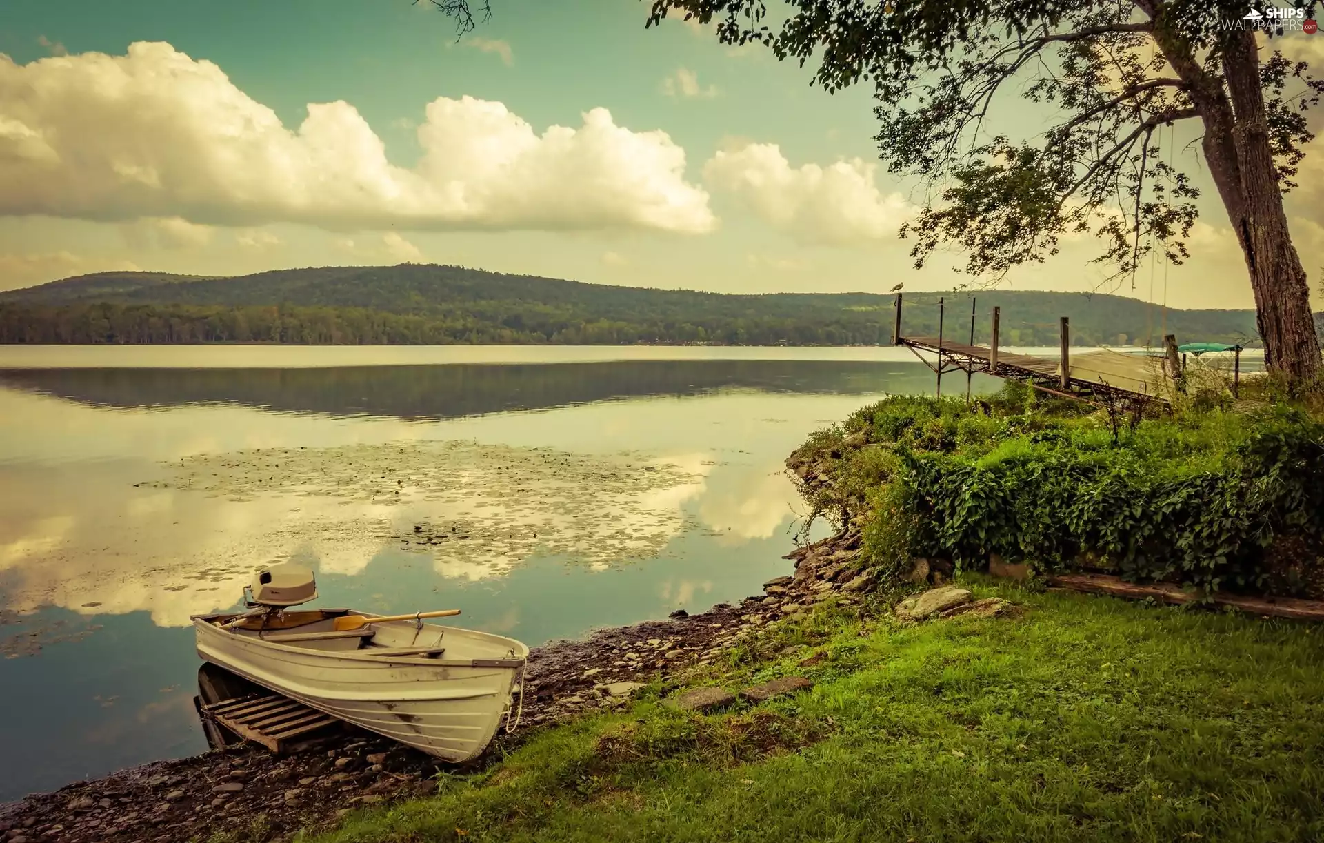 woods, lake, Platform, trees, Boat