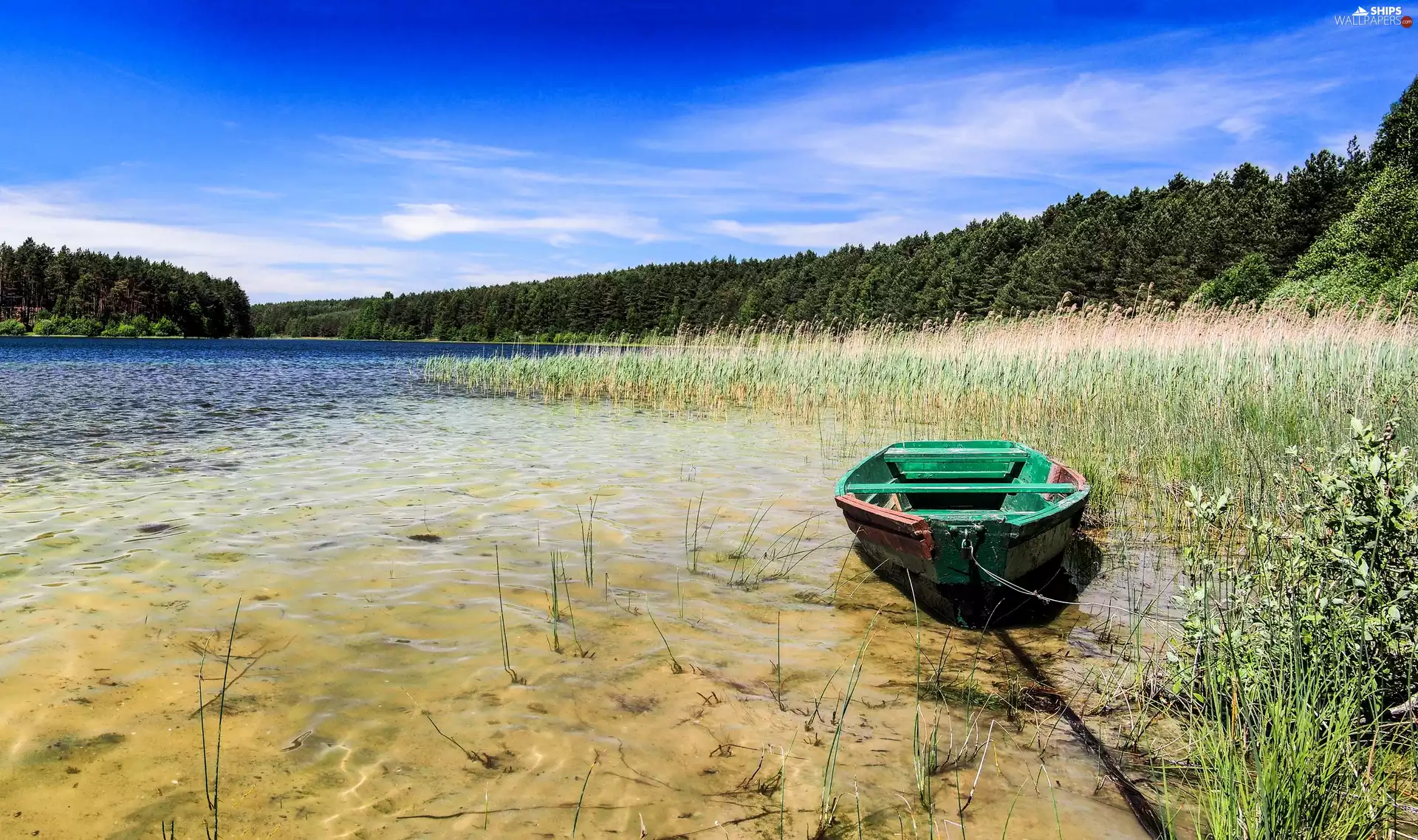 Poland, summer, cane, lake