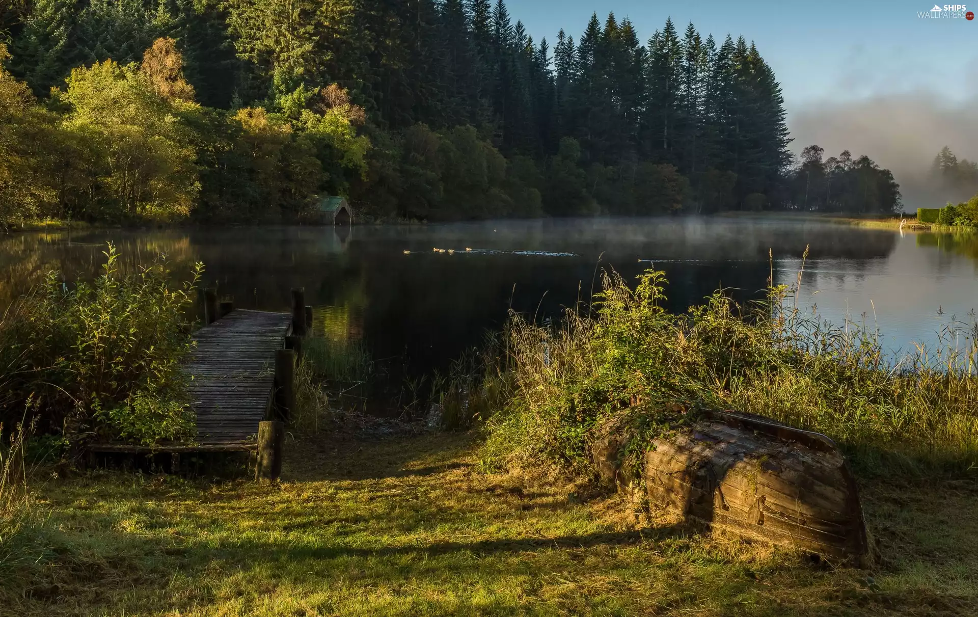 lake, evening, scrub, forest, Platform, Trossachs, Scotland, bath-tub