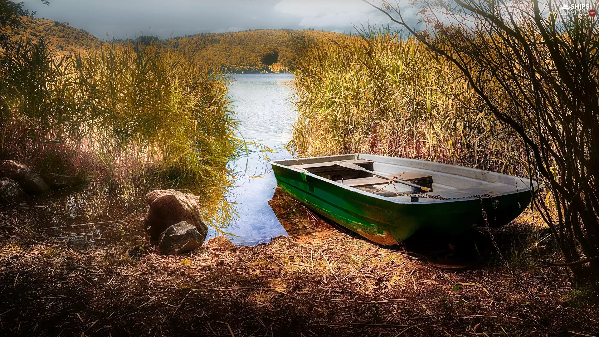 coast, grass, Sky, rushes, cloudy, Boat, autumn, lake