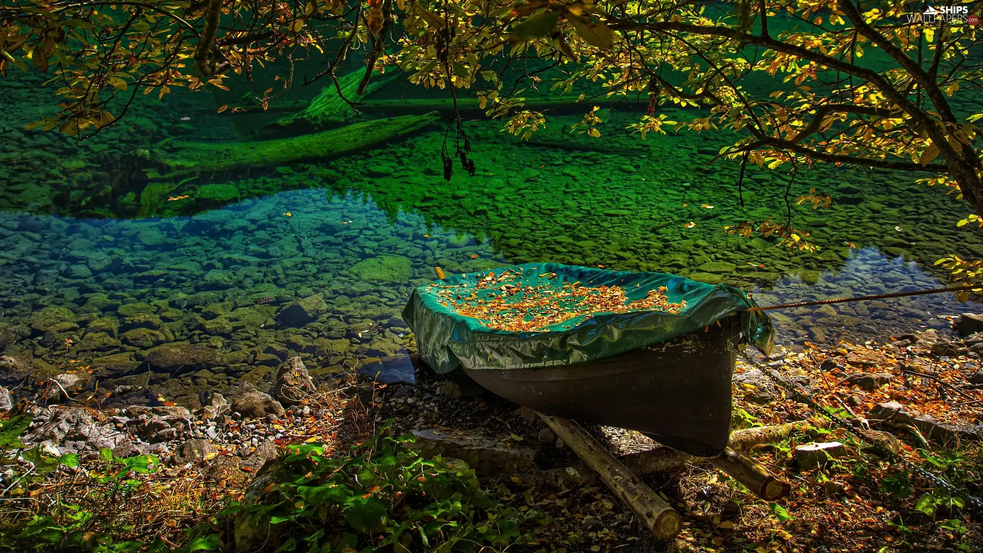 Boat, lake, viewes, Leaf, trees, coast