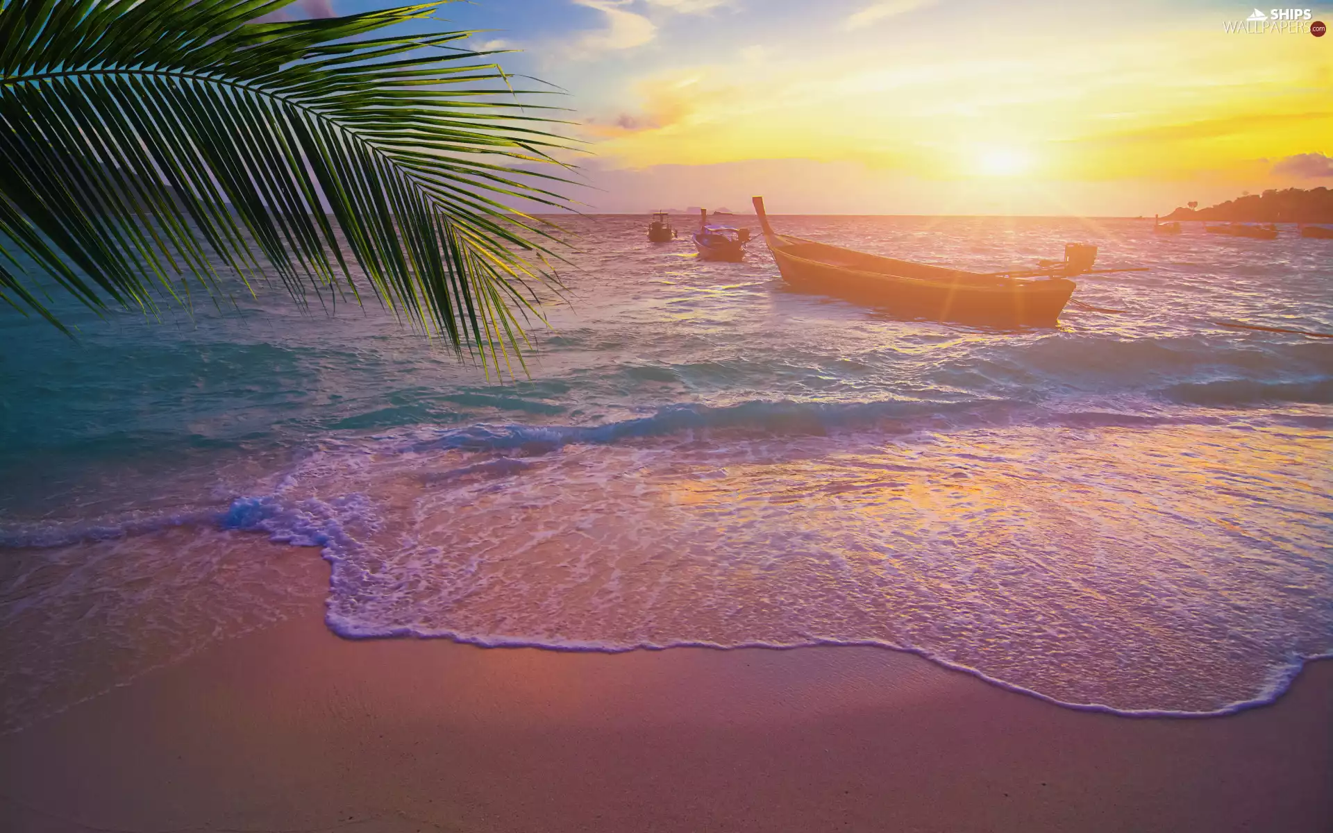 leaf, sea, boats, rays of the Sun, Palm, Beaches