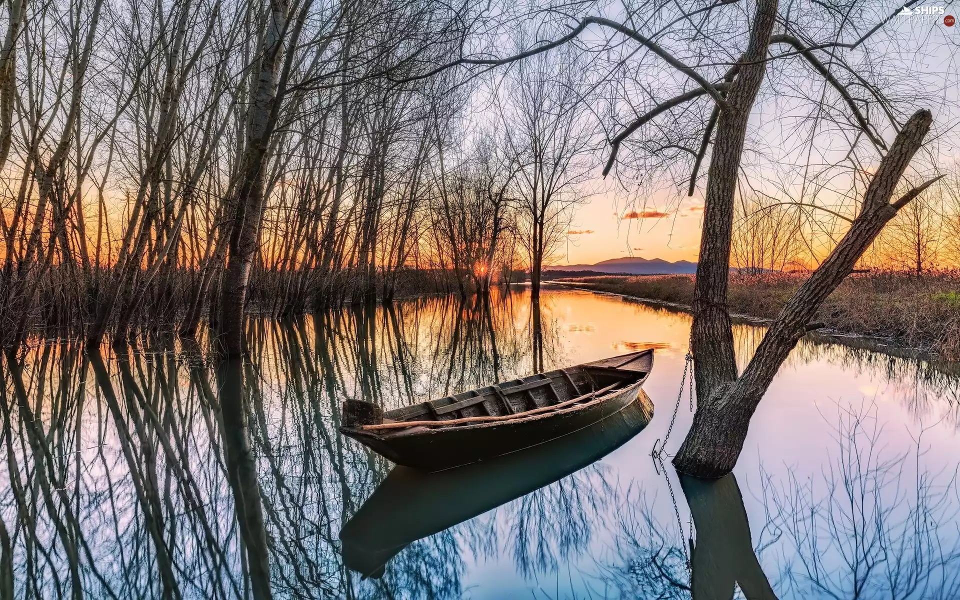 trees, Great Sunsets, leafless, Boat, viewes, River