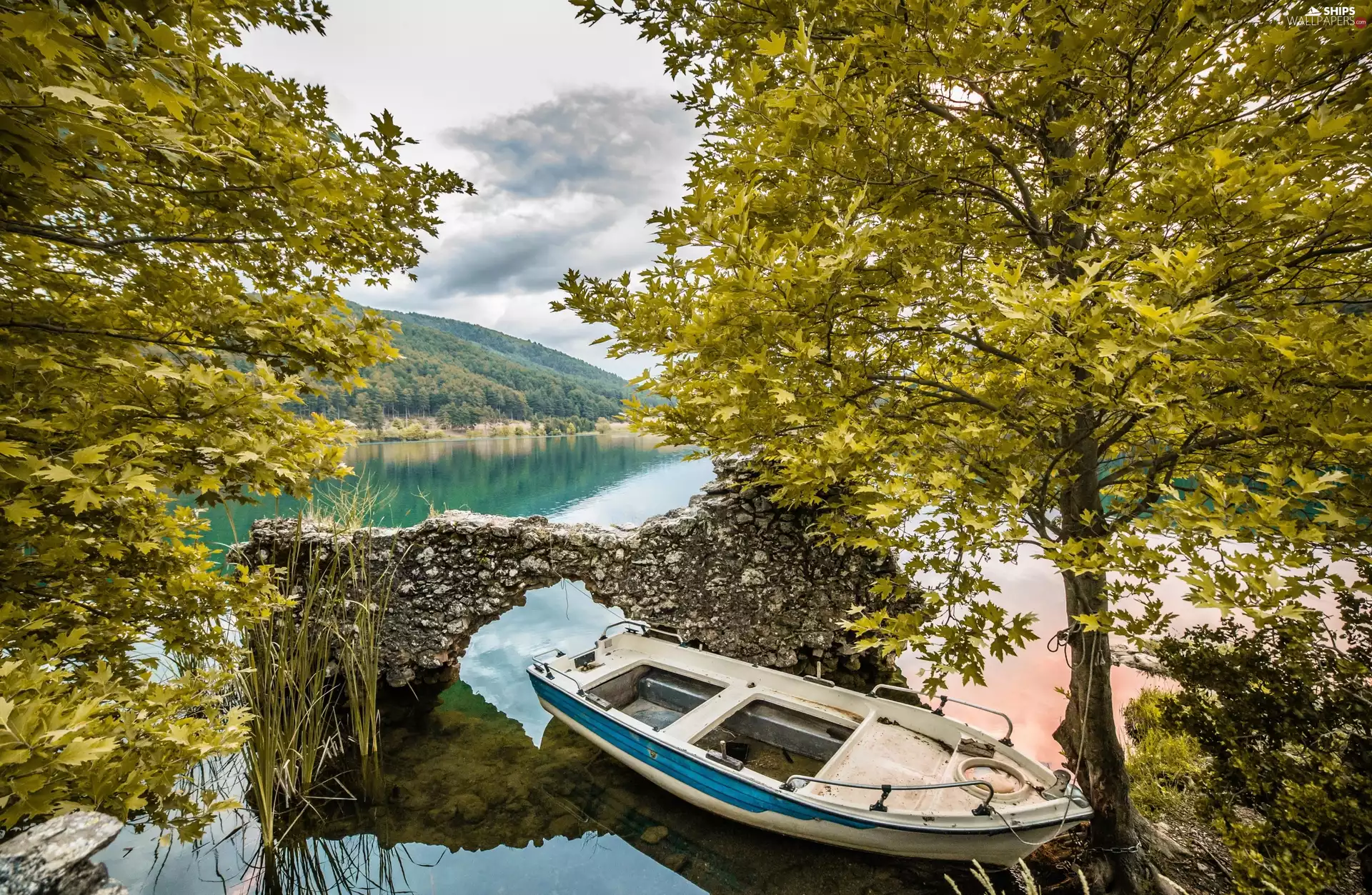 lake, Hill, viewes, ledge, trees, Boat