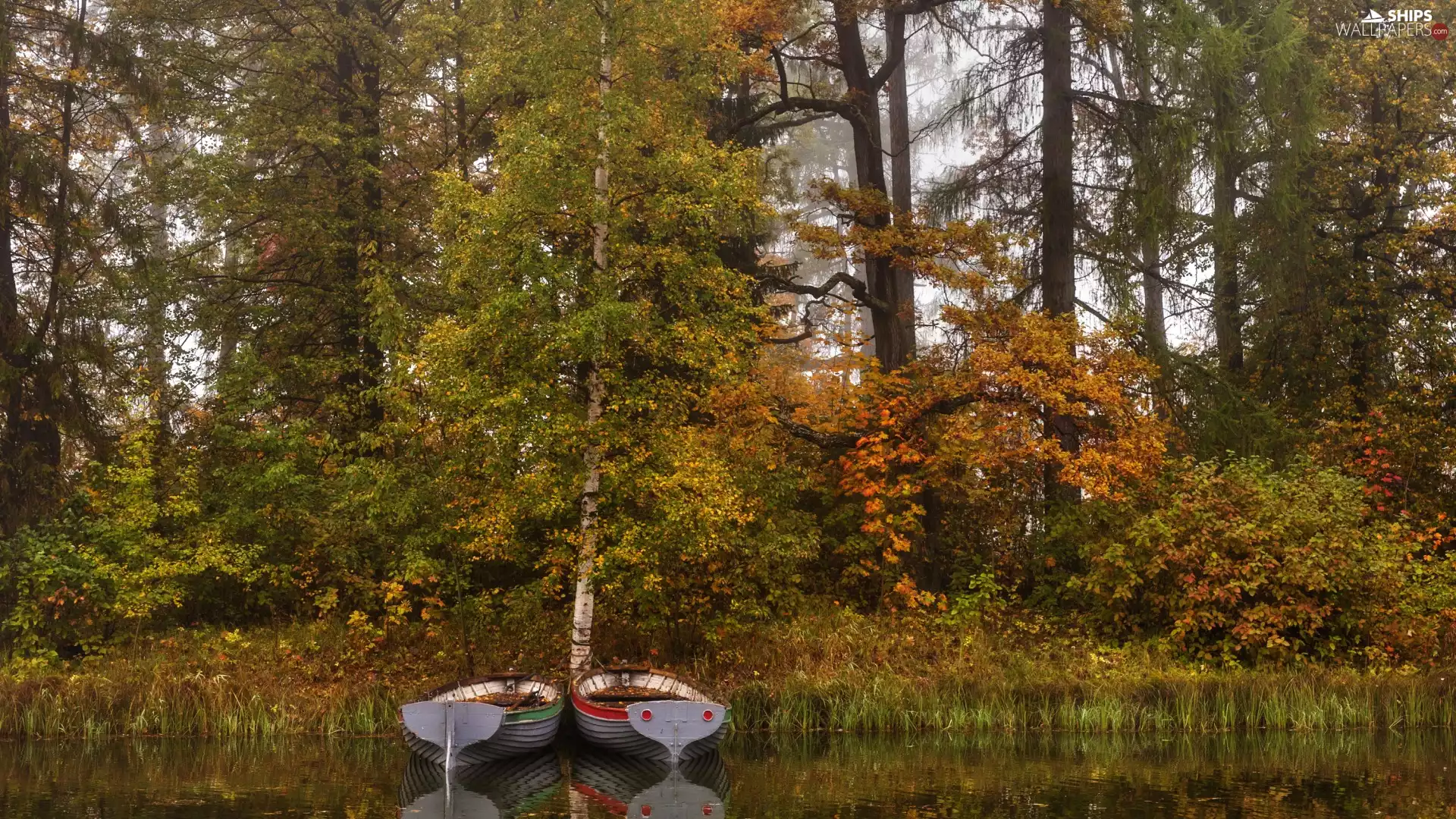 Leningrad Oblast, Russia, Gatchina, Park, lake, autumn, viewes, boats, trees