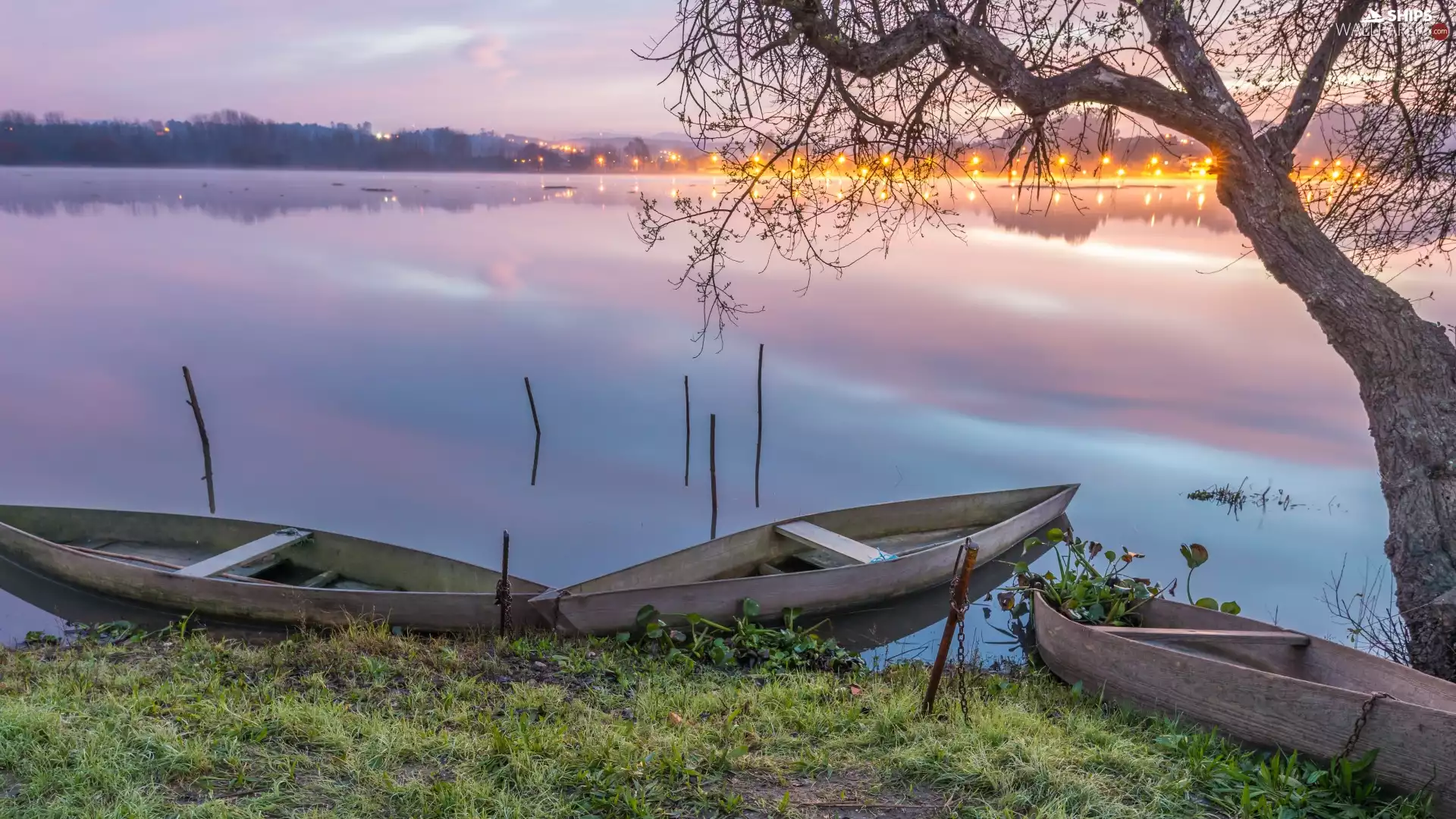 trees, light, reflection, boats, lake