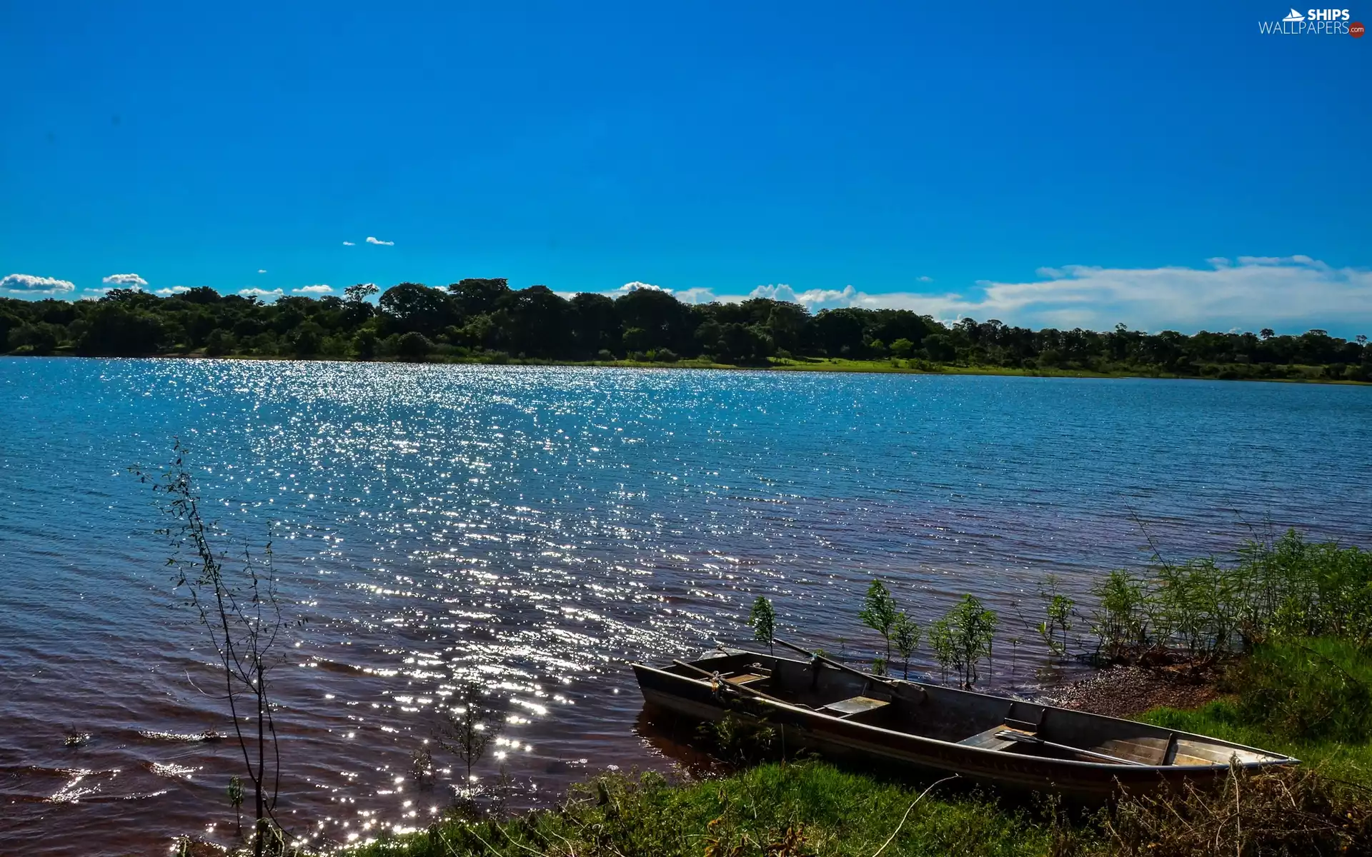 River, grass, woods, Lodz