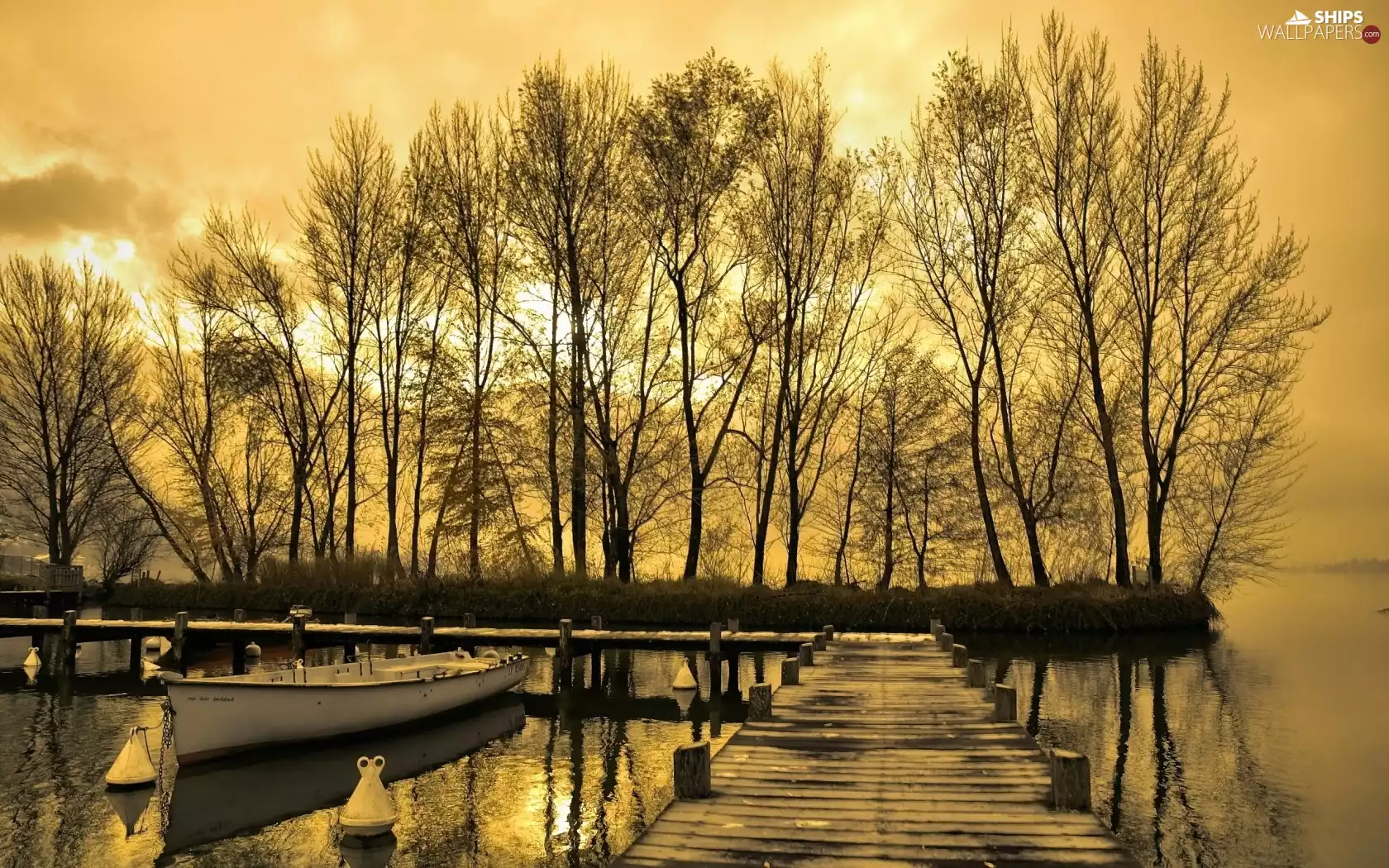 trees, lake, Przebijające, viewes, sun, autumn, luminosity, Boat, Platform, flash, ligh