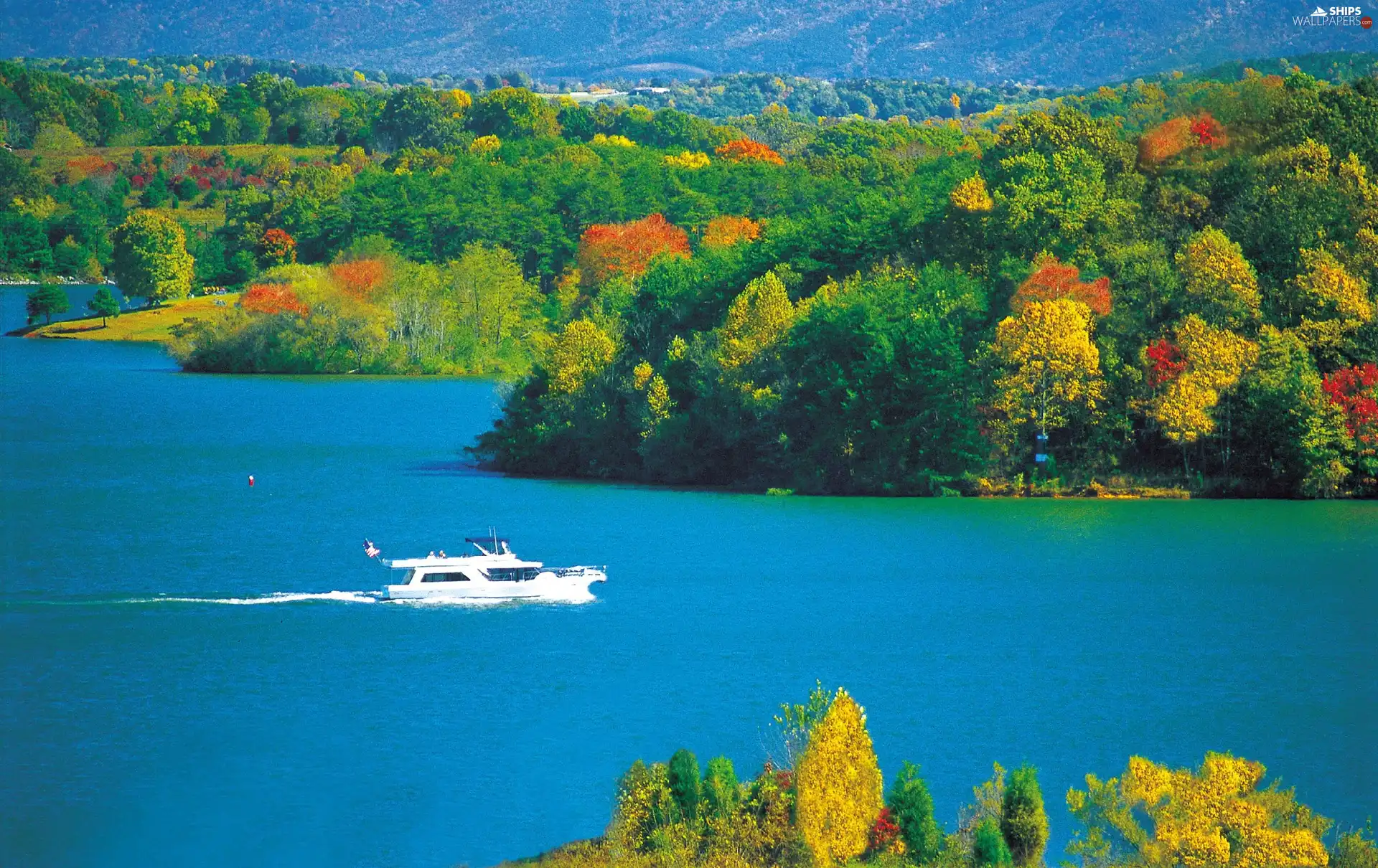 autumn, woods, Motor boat, lake