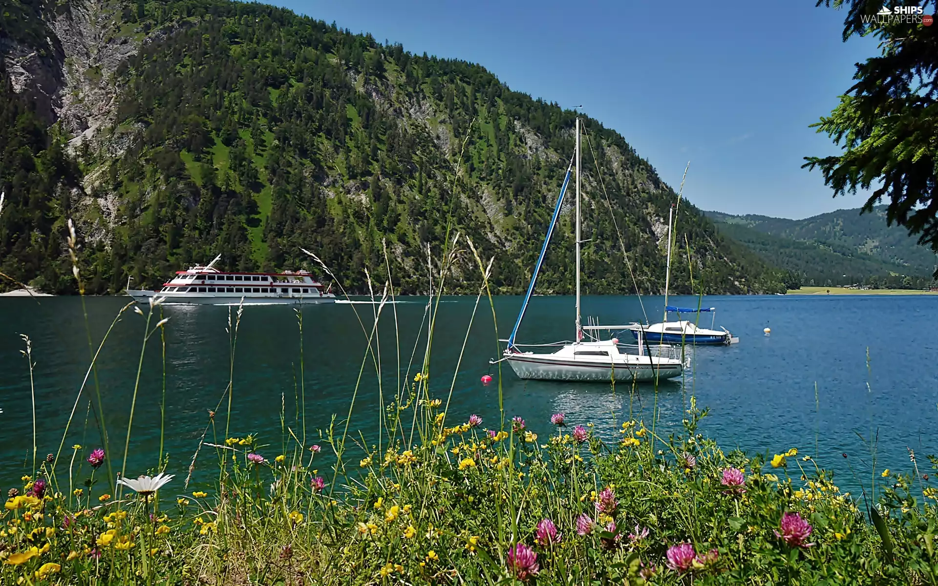 Mountains, Tirol, woods, Meadow, Ship, cruise, Achensee, Yachts, lake